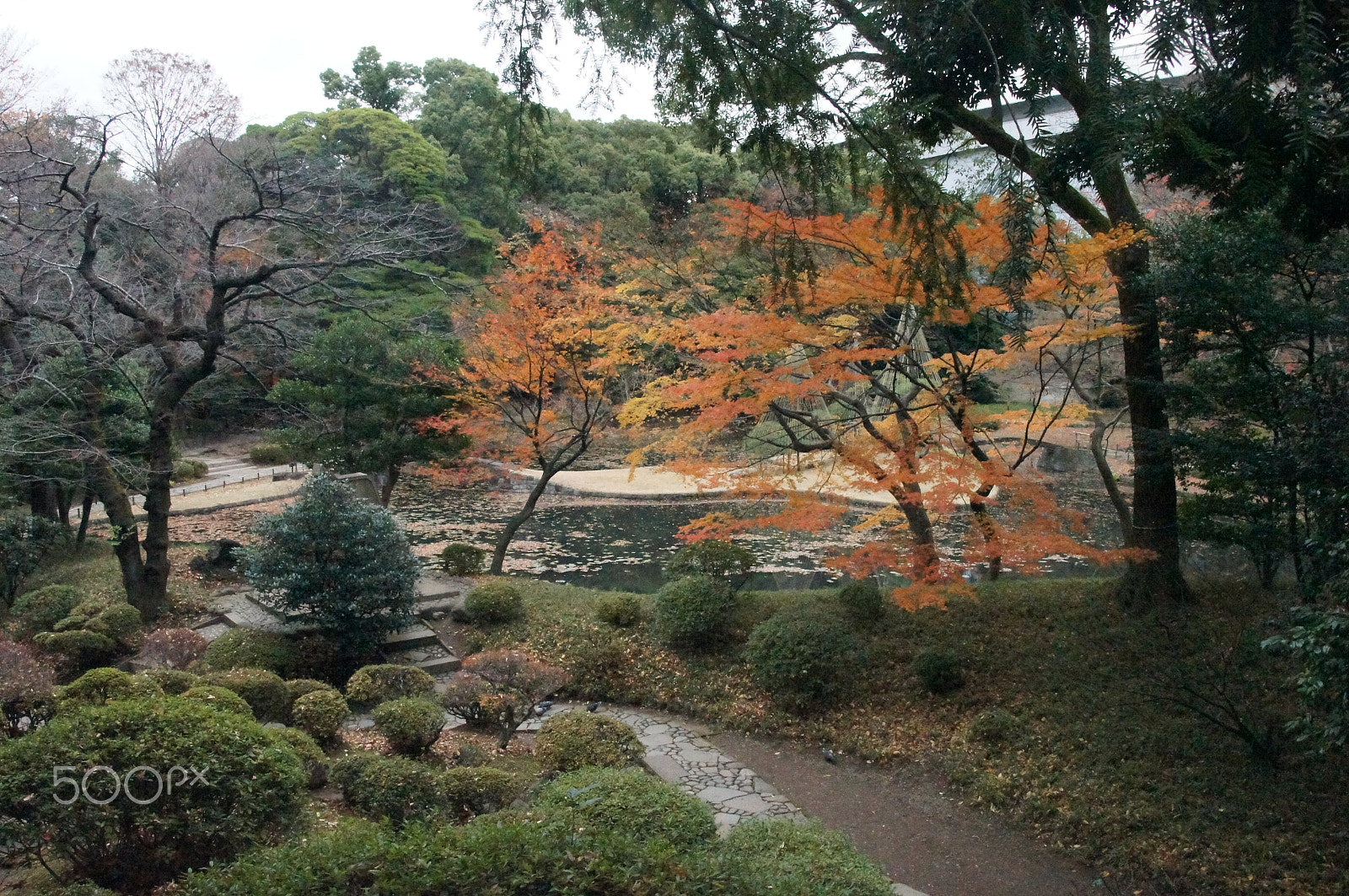 Sony Alpha DSLR-A580 sample photo. Japan kanazawa photography