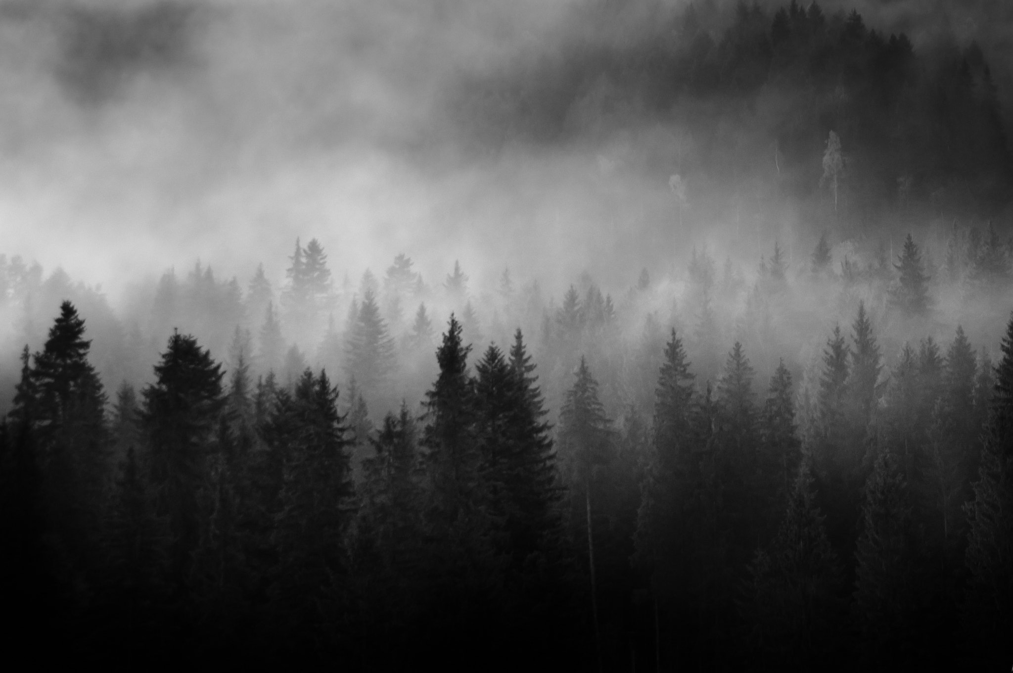 Pentax smc DA 16-45mm F4 ED AL sample photo. Awakening in transylvania photography