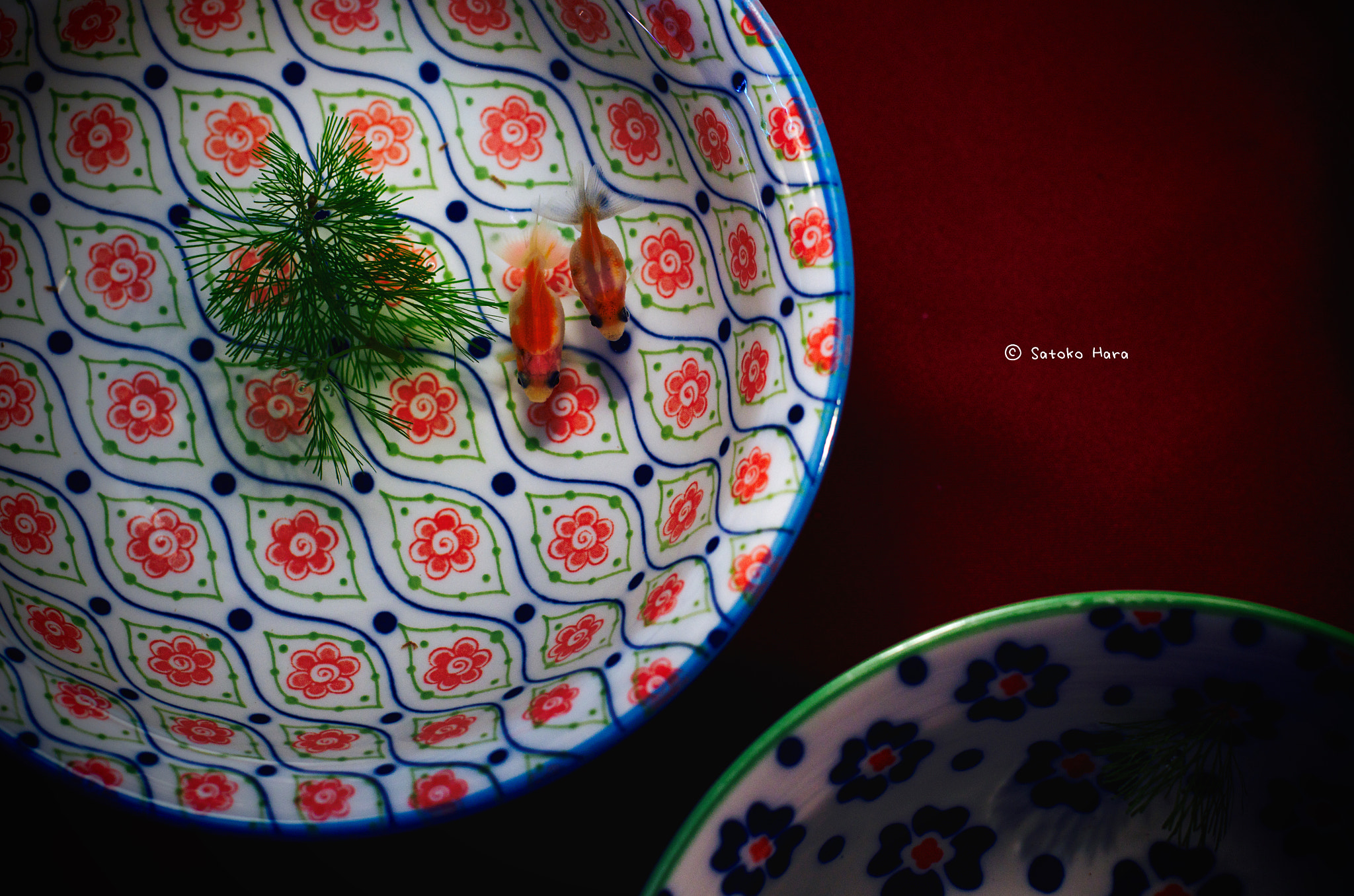 Pentax smc DA* 55mm F1.4 SDM sample photo. Wabi-sabi photography