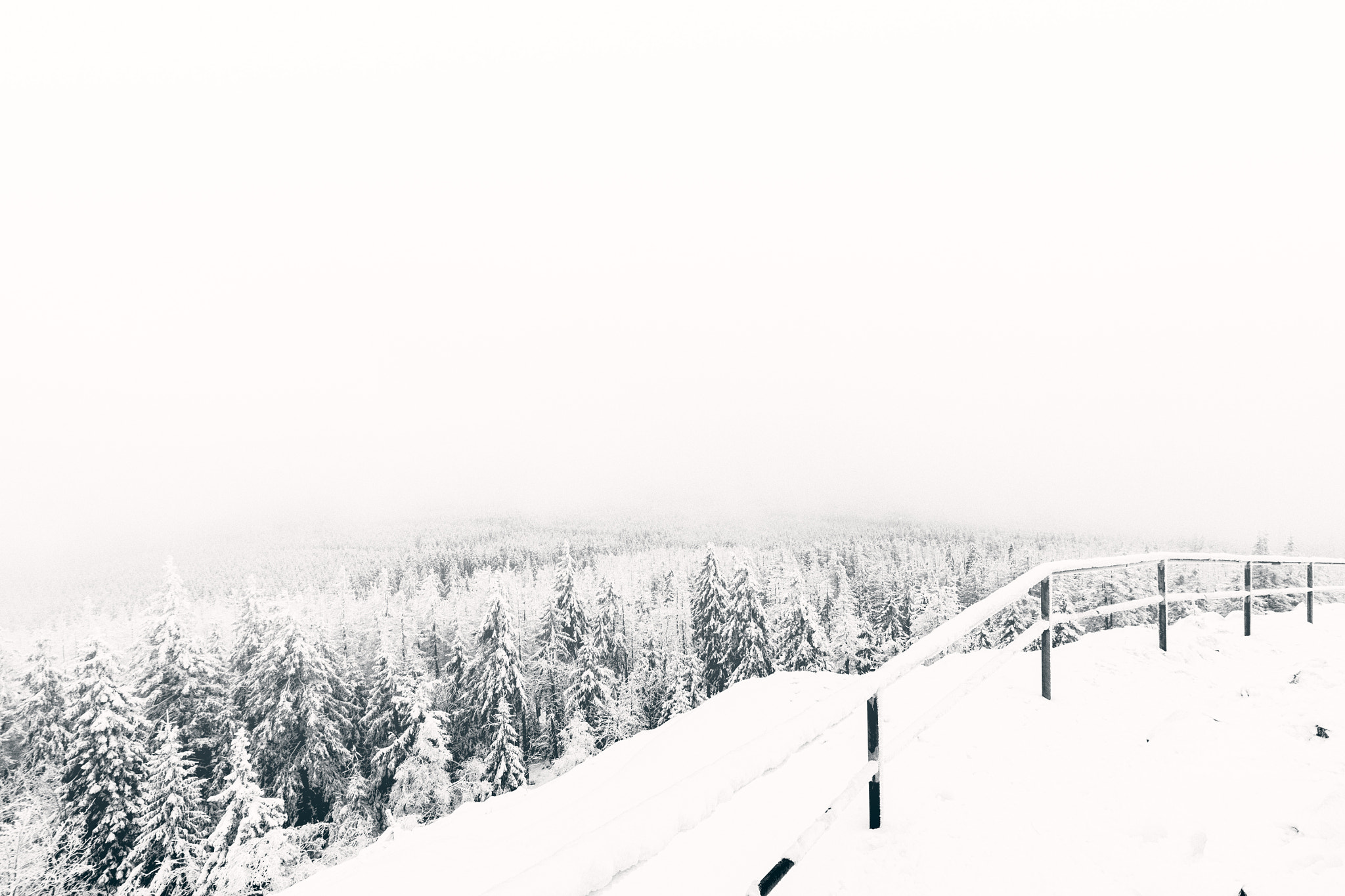 Canon EOS 50D sample photo. Snow view photography