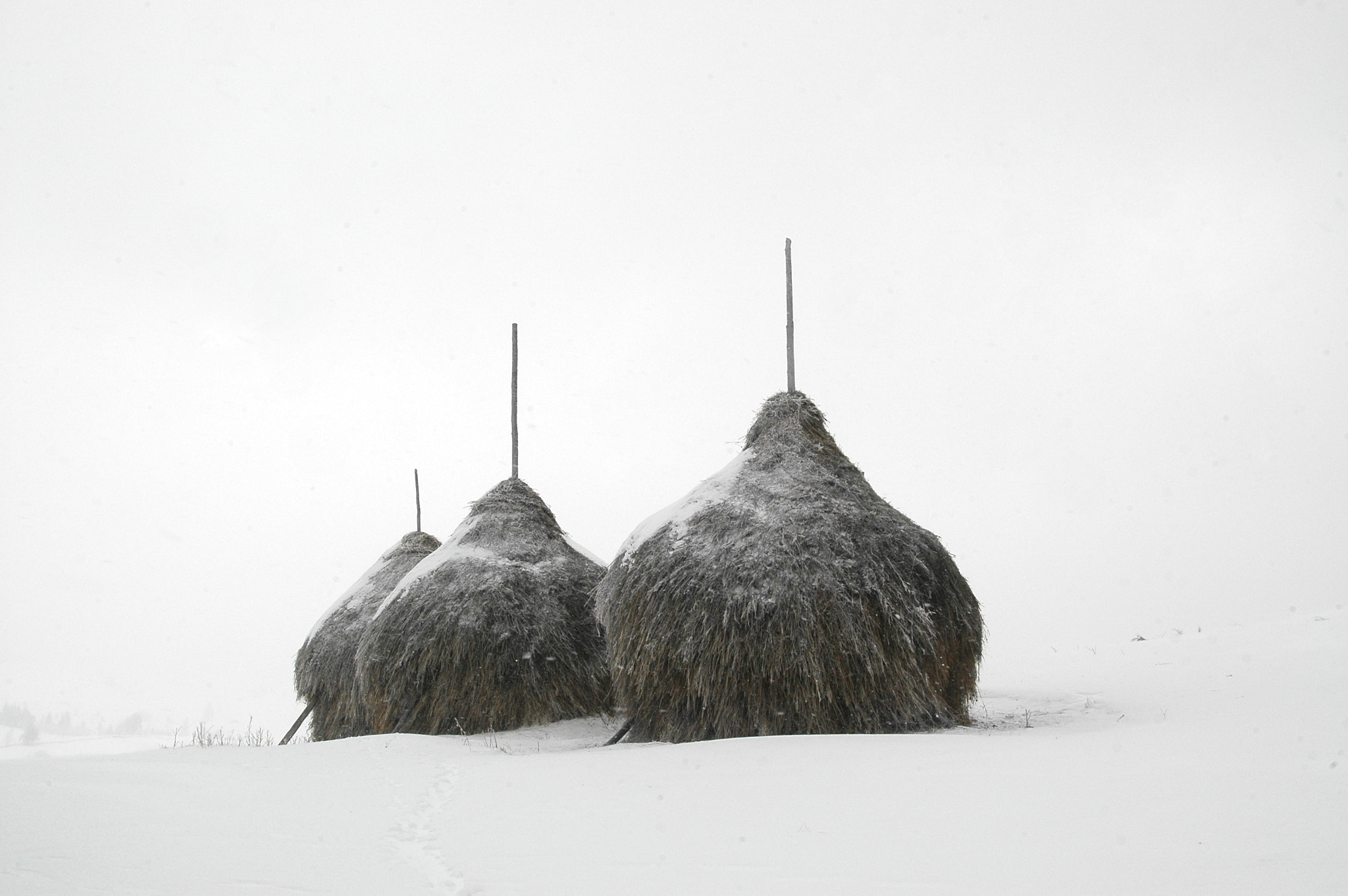 AF Zoom-Nikkor 28-80mm f/3.5-5.6D sample photo. Hay stack photography