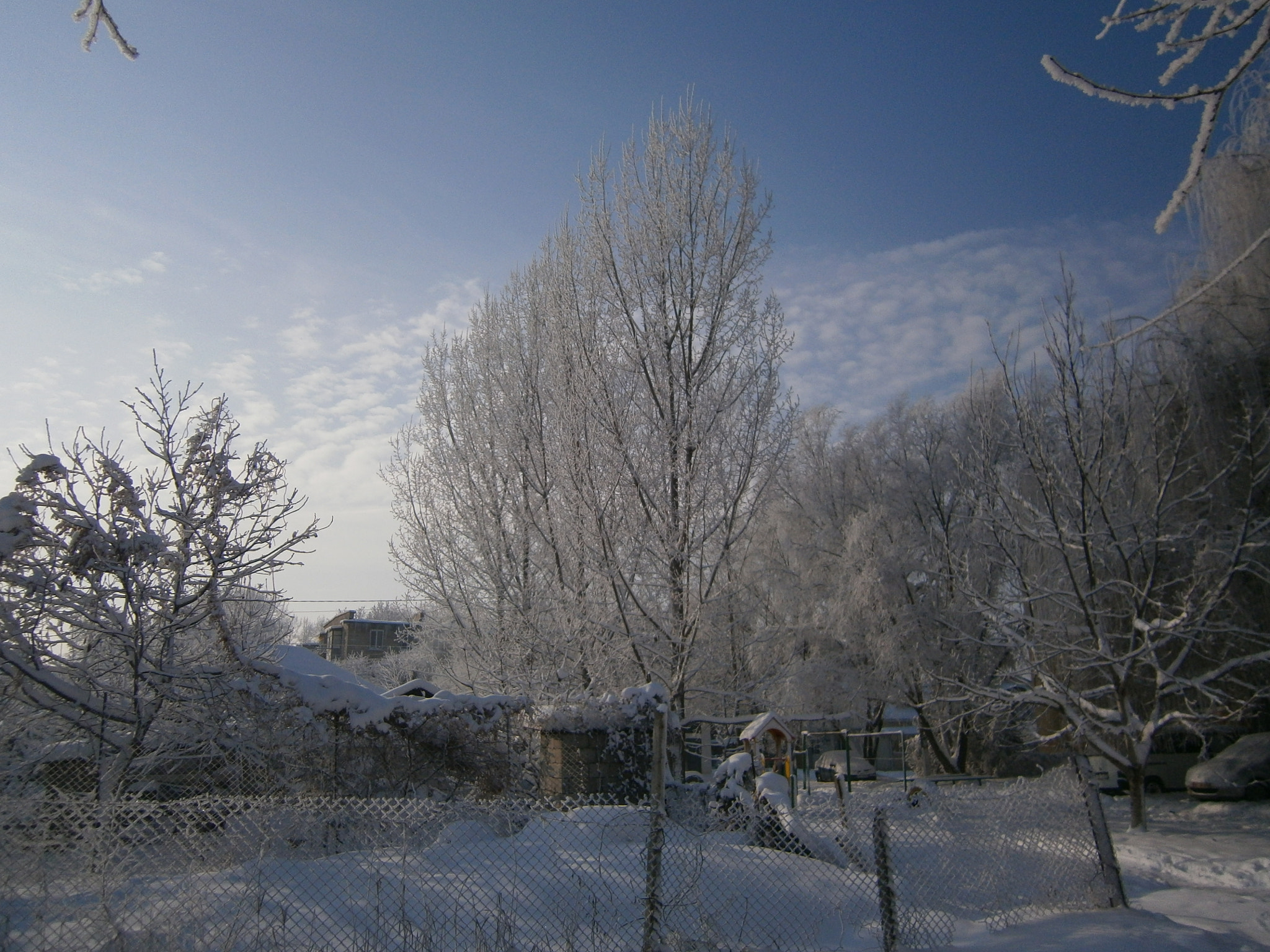 Olympus VG120,D705 sample photo. My winter holidays...2012 photography