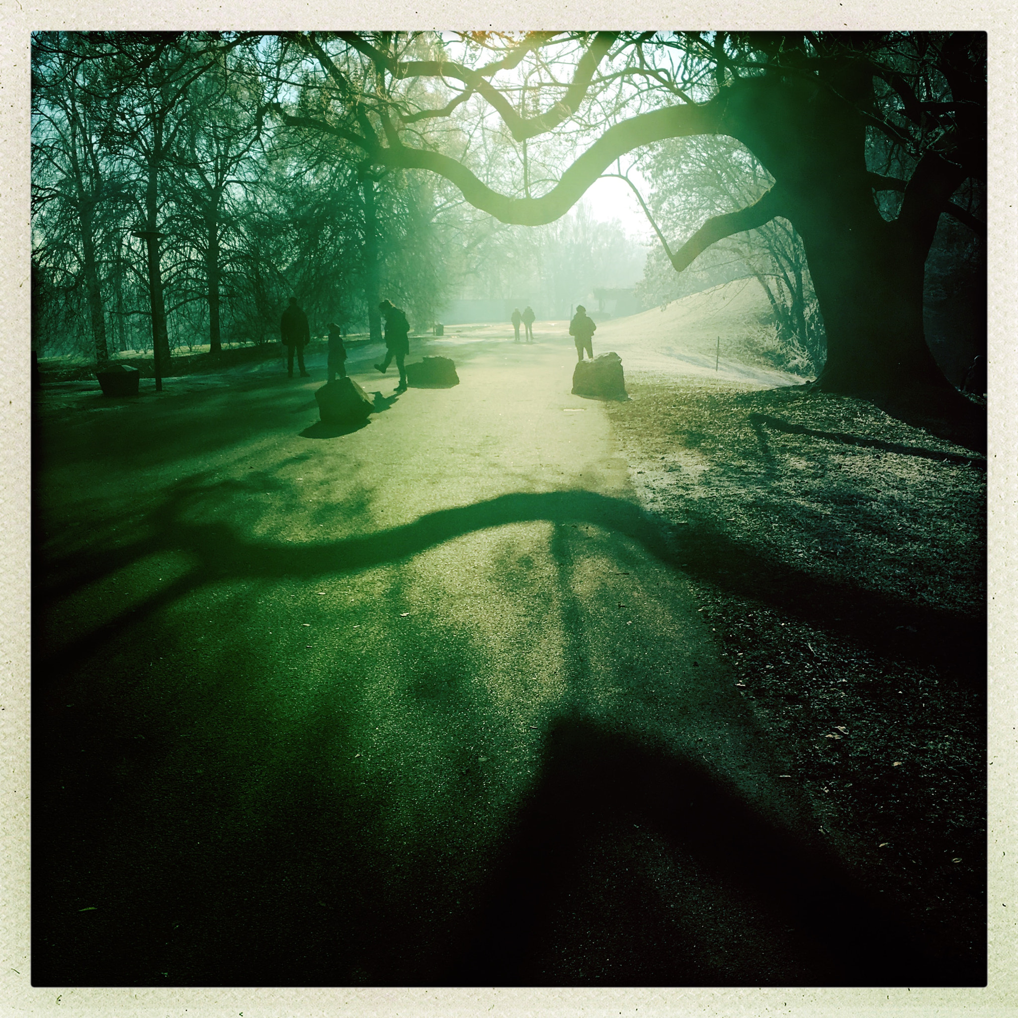 Hipstamatic 330 sample photo