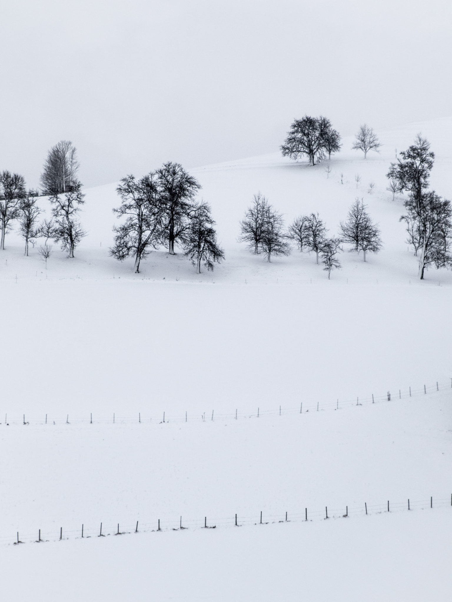 Canon EOS 7D Mark II sample photo. Silence of winter photography
