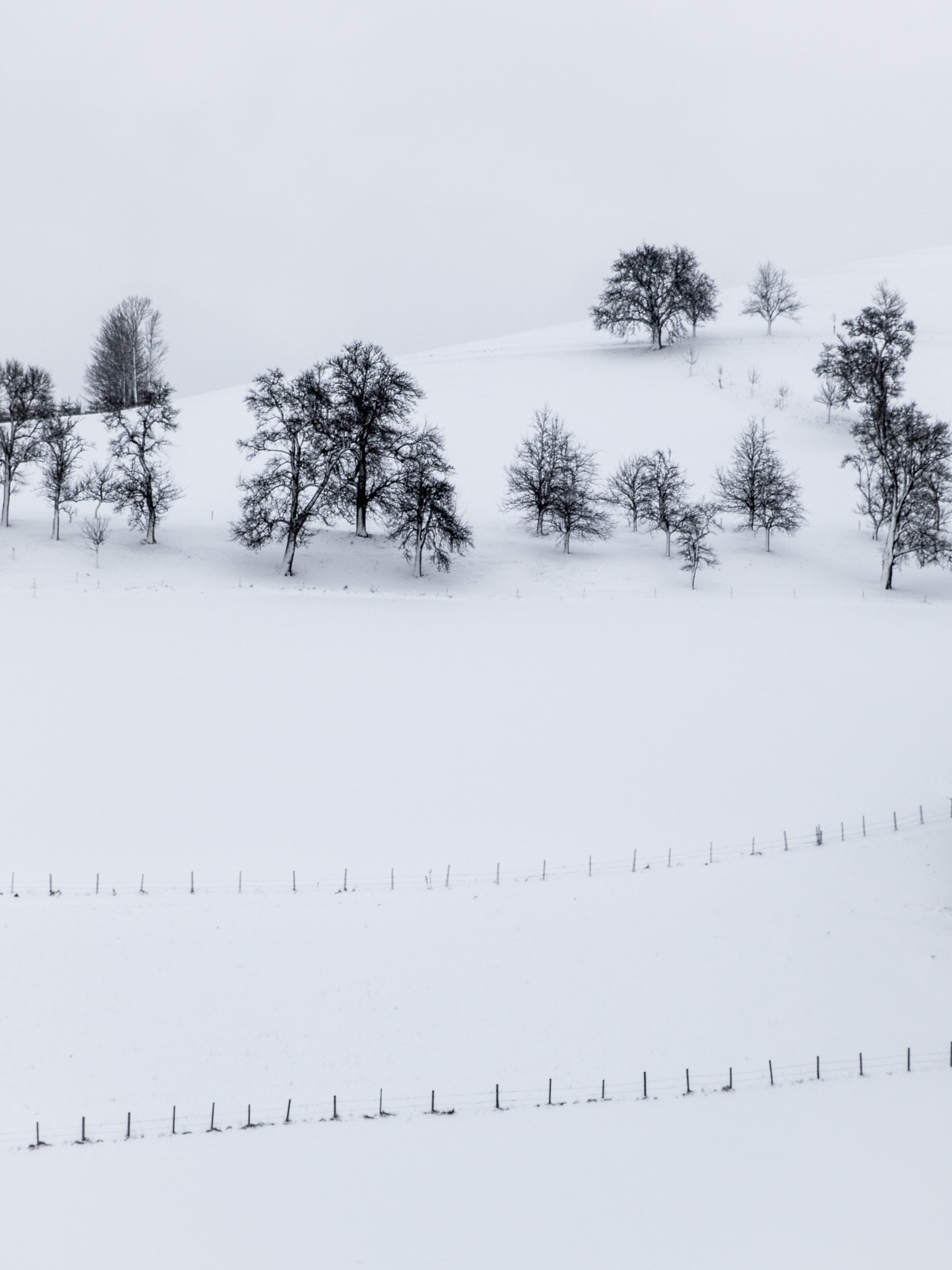 Sigma 24-70mm F2.8 EX DG Macro sample photo. Silence of winter photography