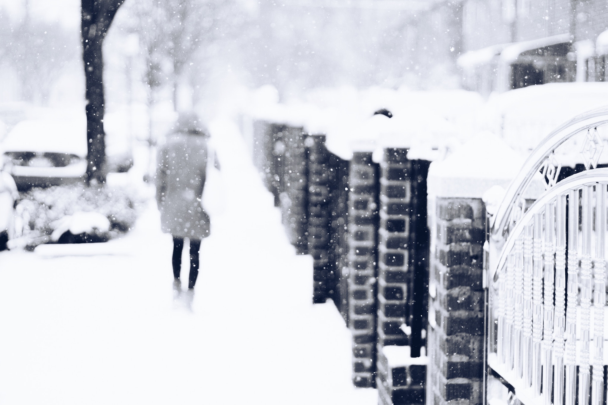 Canon EOS 100D (EOS Rebel SL1 / EOS Kiss X7) sample photo. Stranger in the snow photography