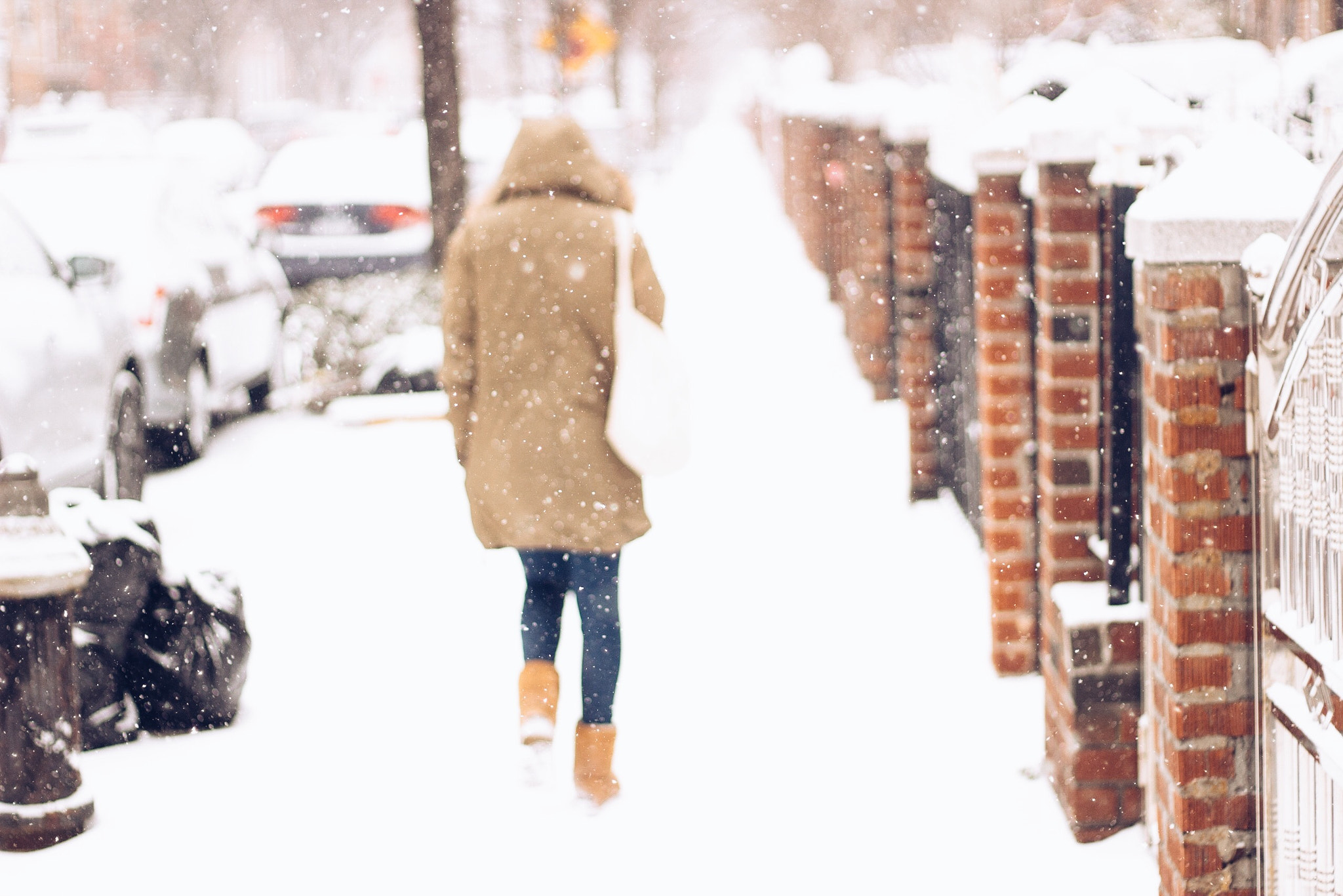 Canon EF 50mm F1.8 II sample photo. Stranger in the snow. photography
