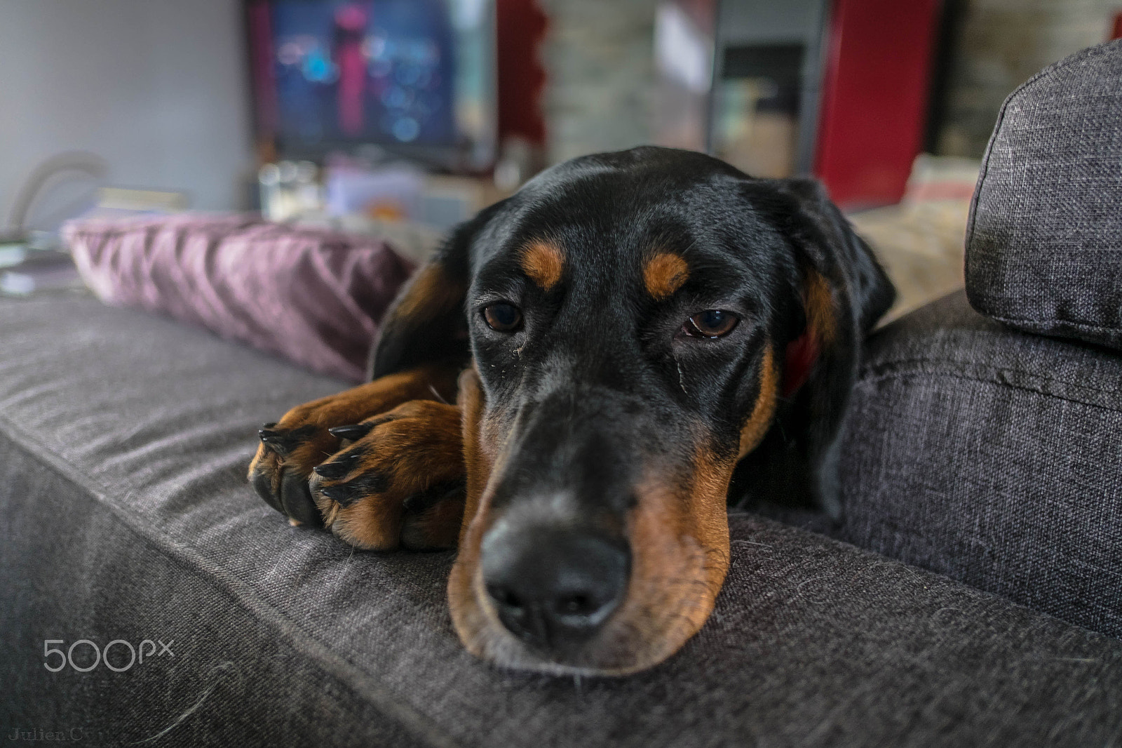 Fujifilm X-T1 sample photo. A sofa for me alone photography