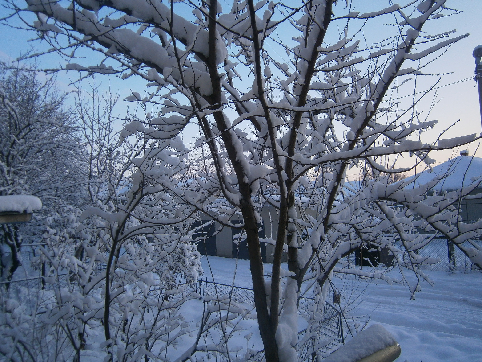 Olympus VG120,D705 sample photo. Winter ...2012 photography