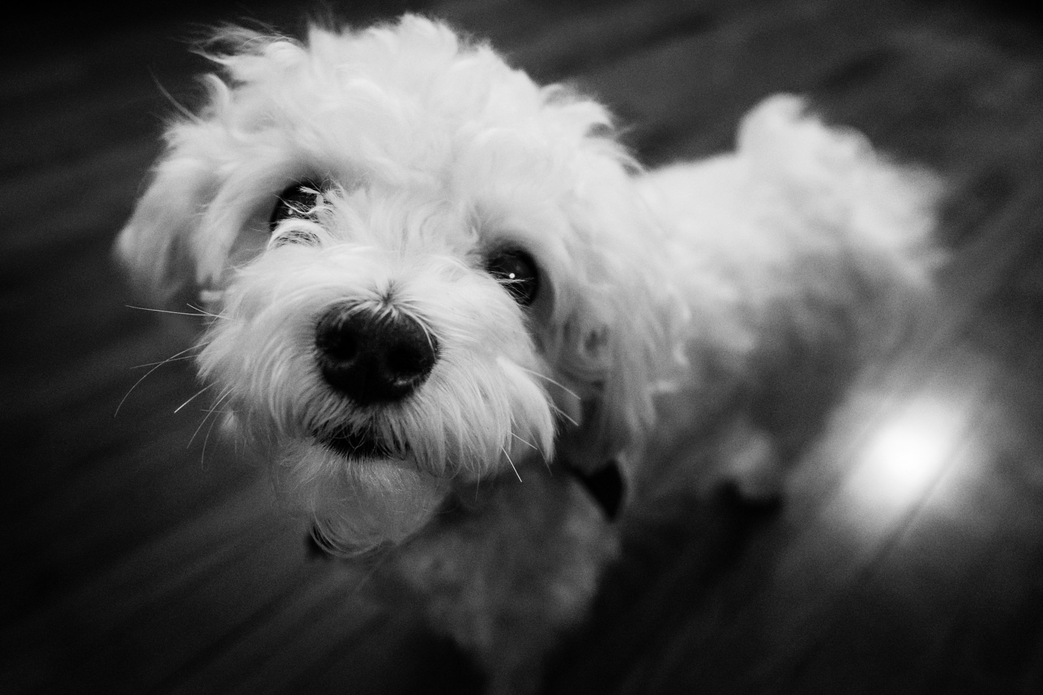 Fujifilm X-T2 + Fujifilm XF 14mm F2.8 R sample photo. North photography