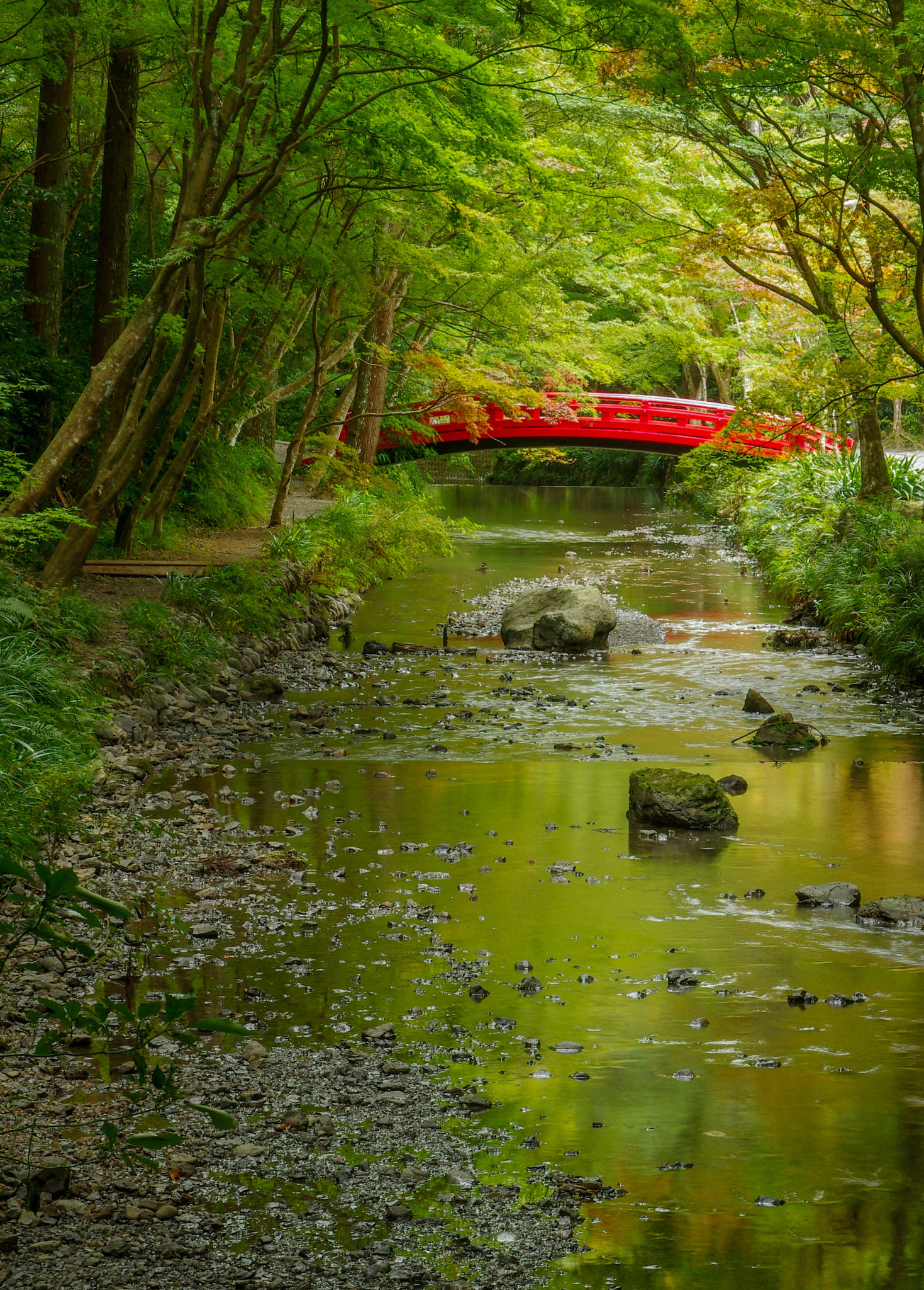 Pentax K-5 sample photo. Red photography