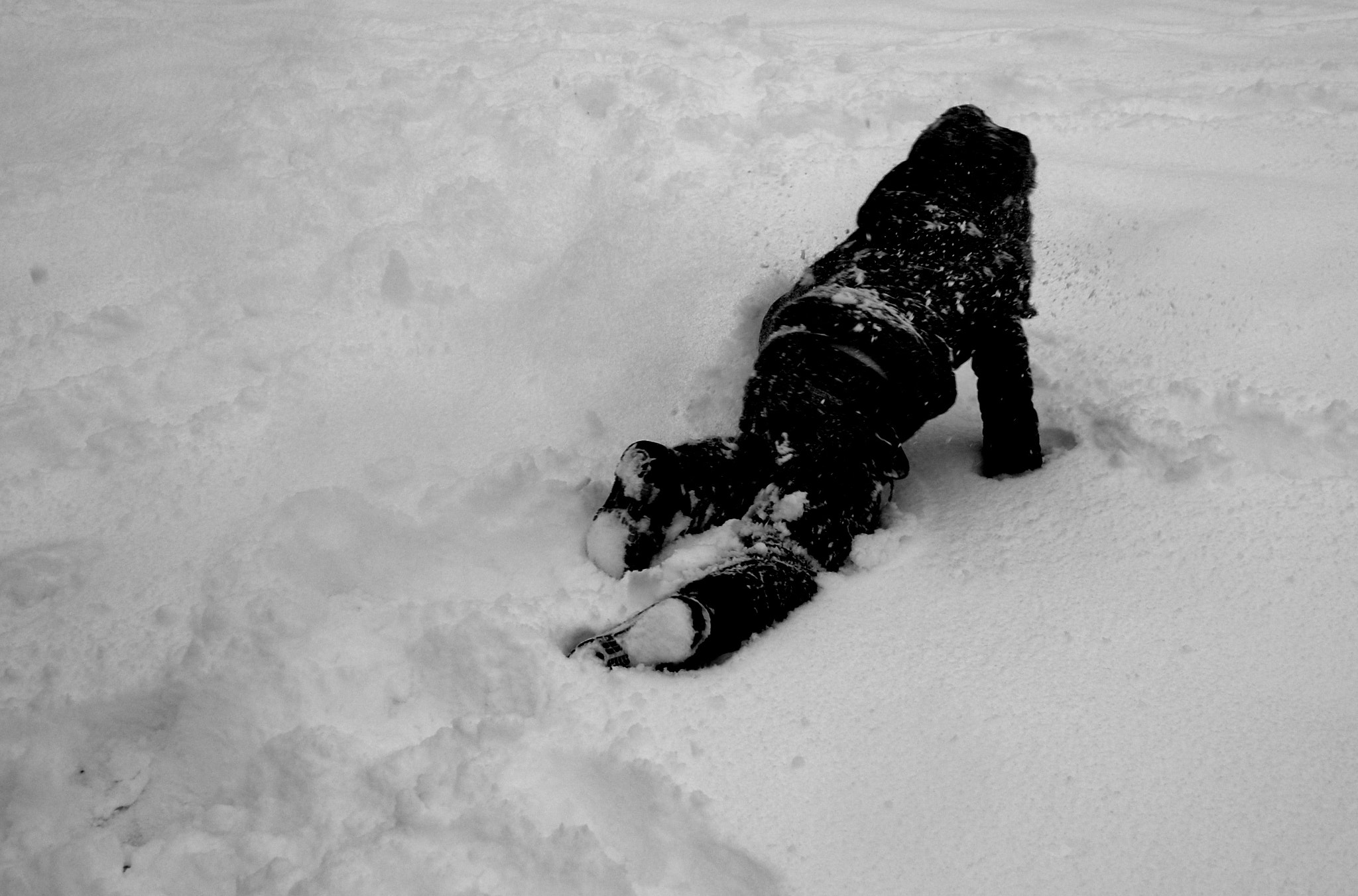 Nikon D60 sample photo. Crawling out of winter blues!! photography