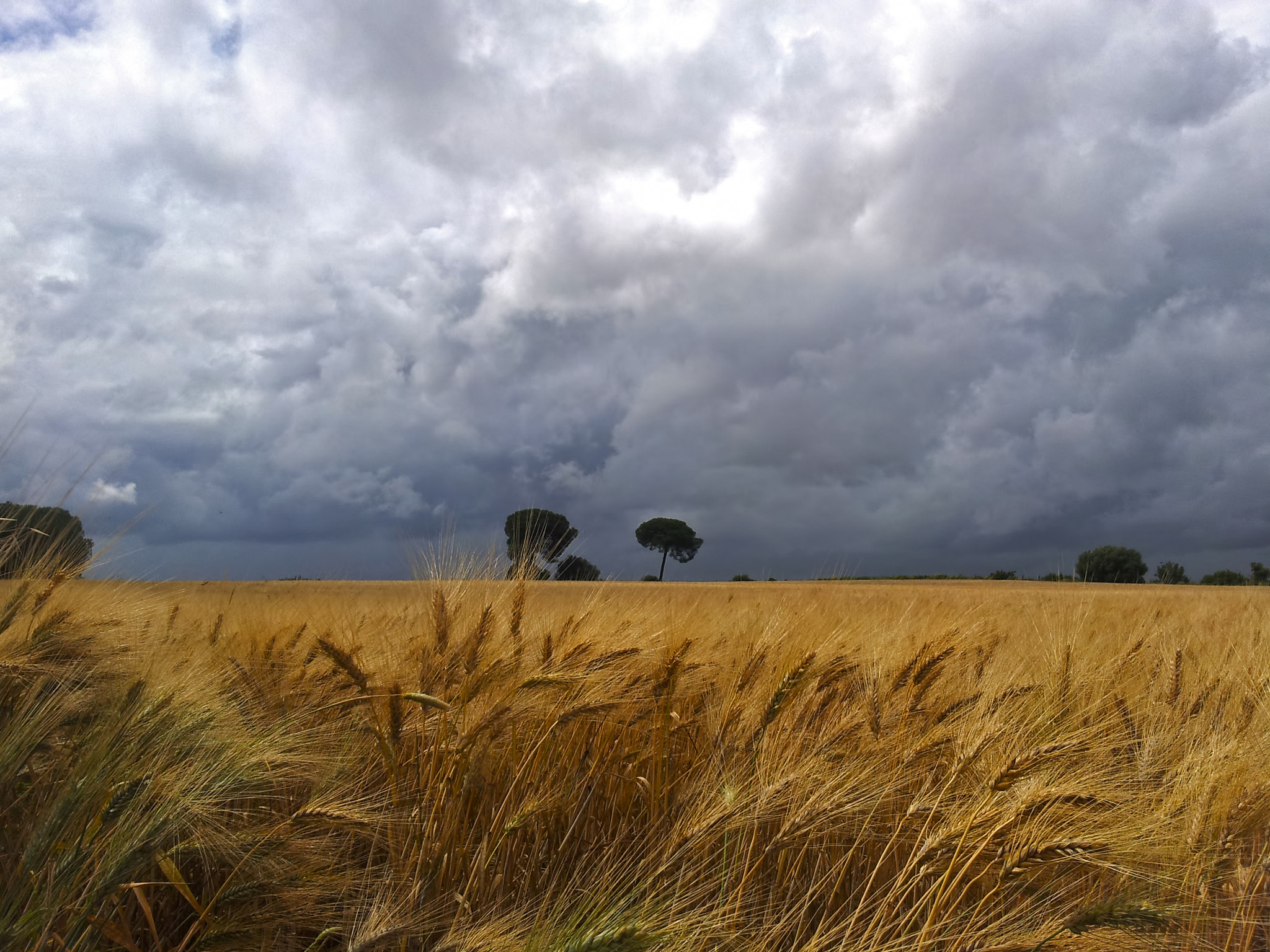 Samsung Galaxy Note sample photo. 351651.jpg photography