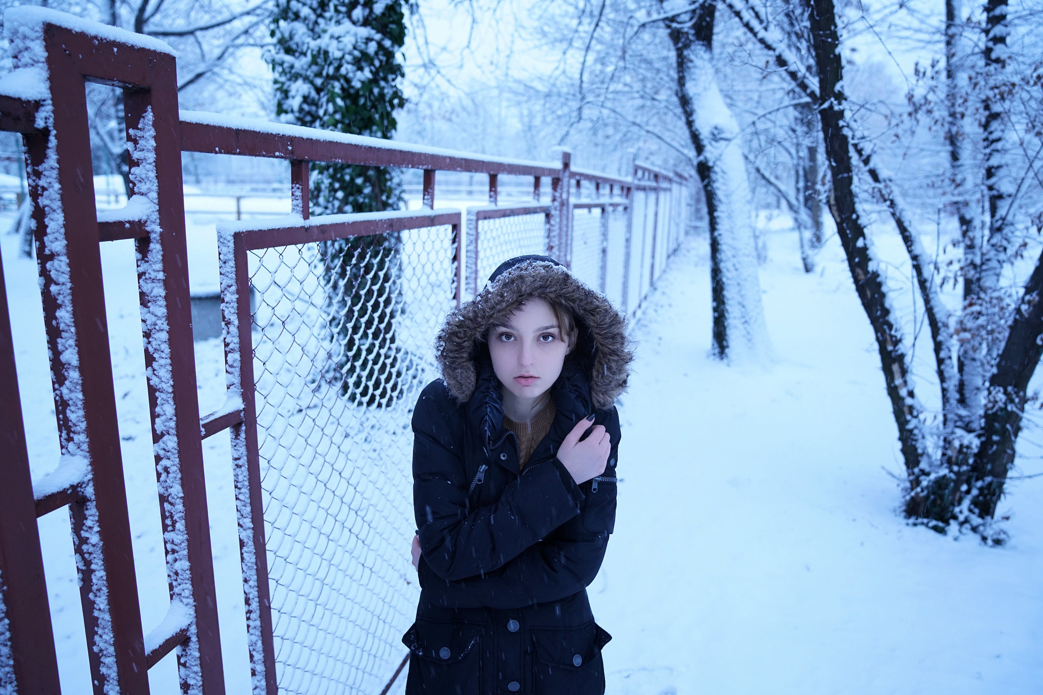 Sony FE 24-70mm F2.8 GM sample photo. It's a cold winter in sofia. photography
