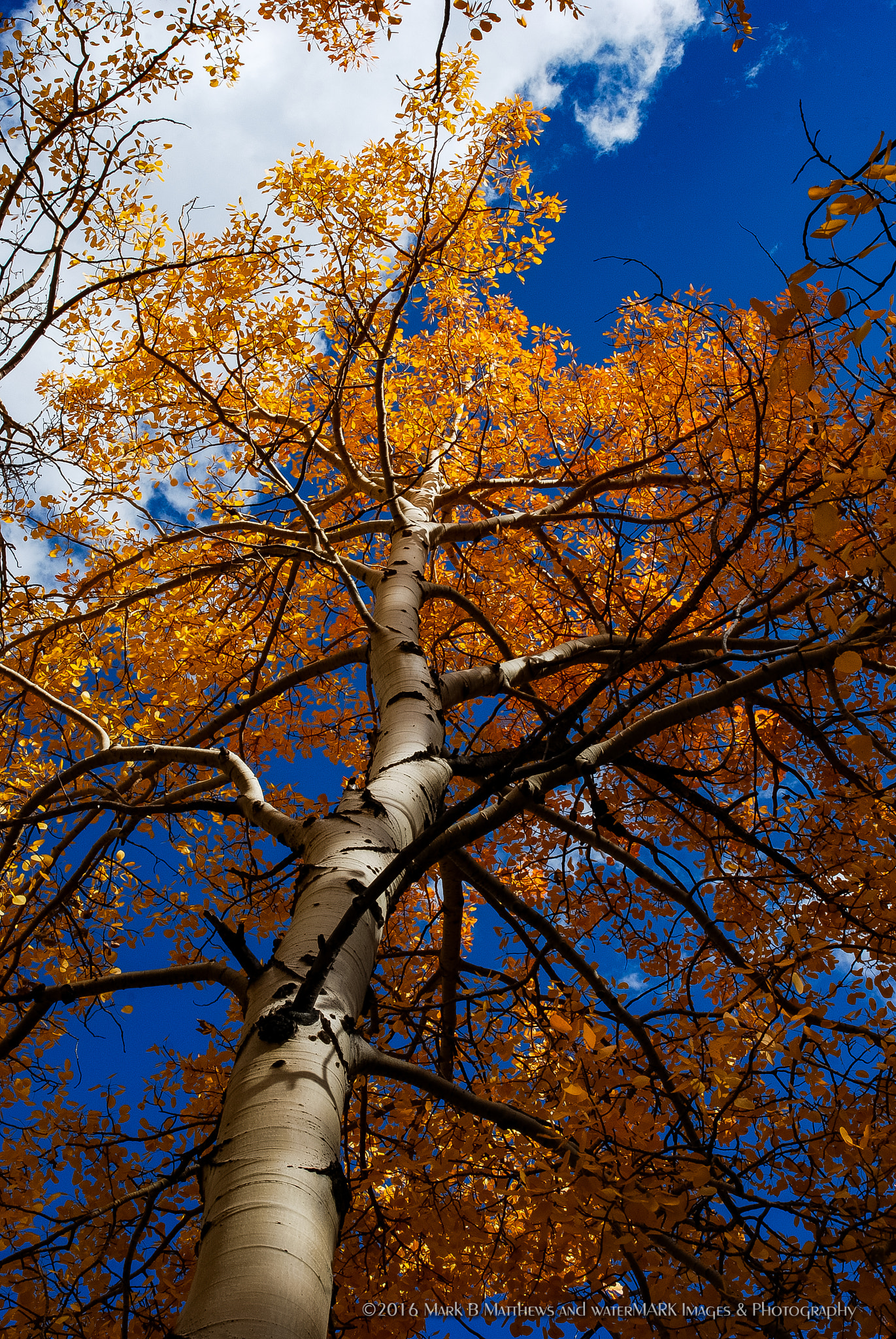 AF Zoom-Nikkor 28-80mm f/3.3-5.6G sample photo. Reaching upward photography