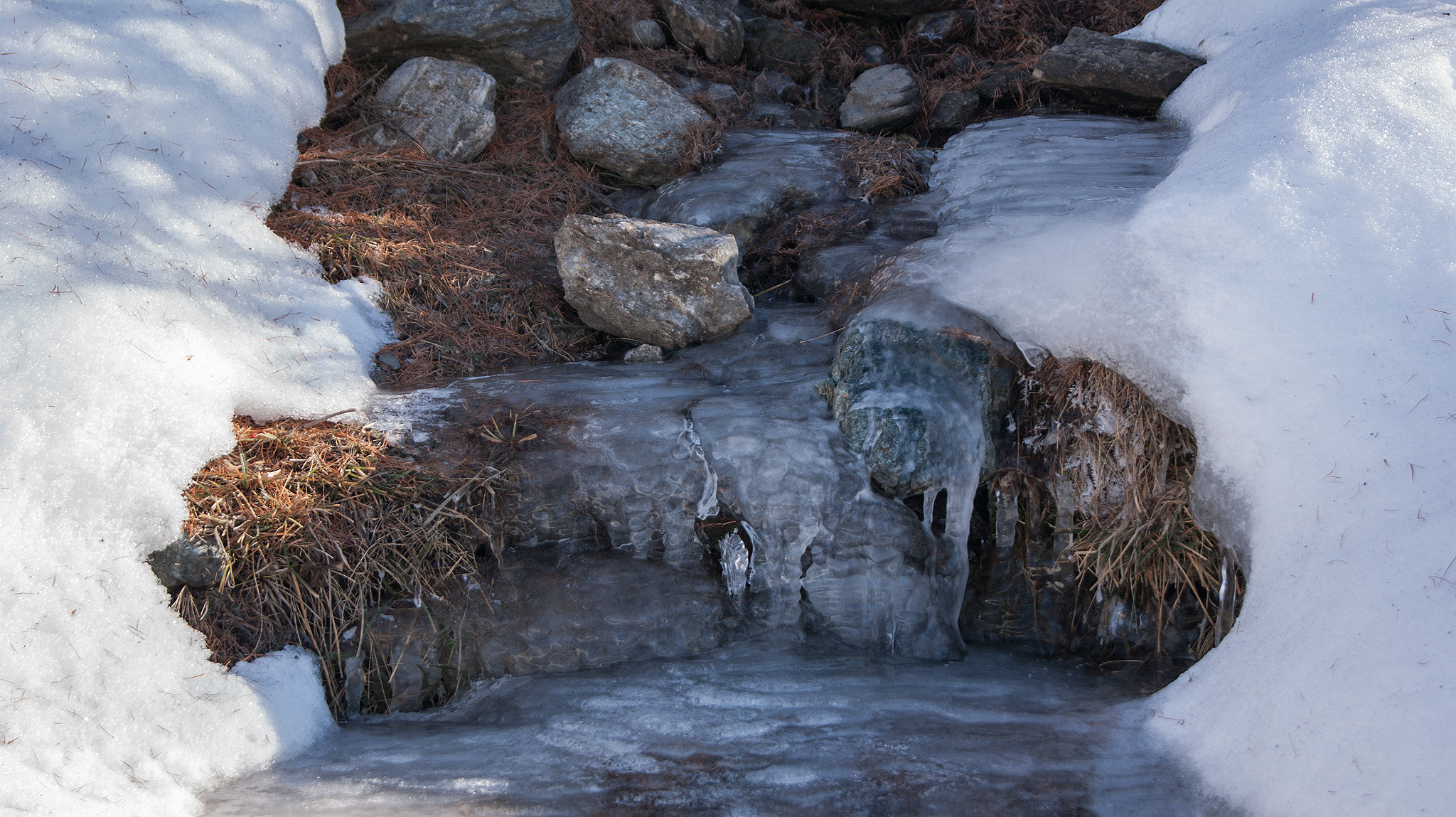 Sony Alpha DSLR-A390 sample photo. Ice from the ground photography