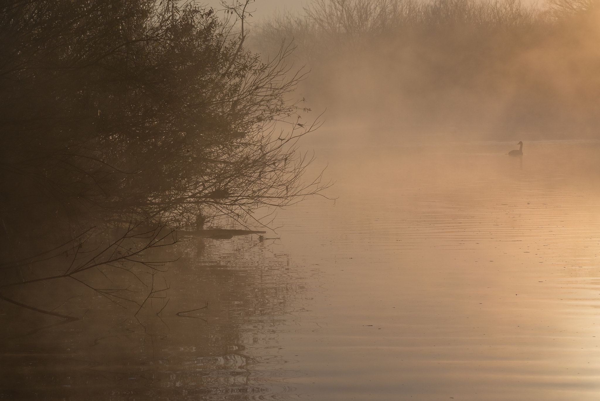 Nikon D800 sample photo. Winter morning photography