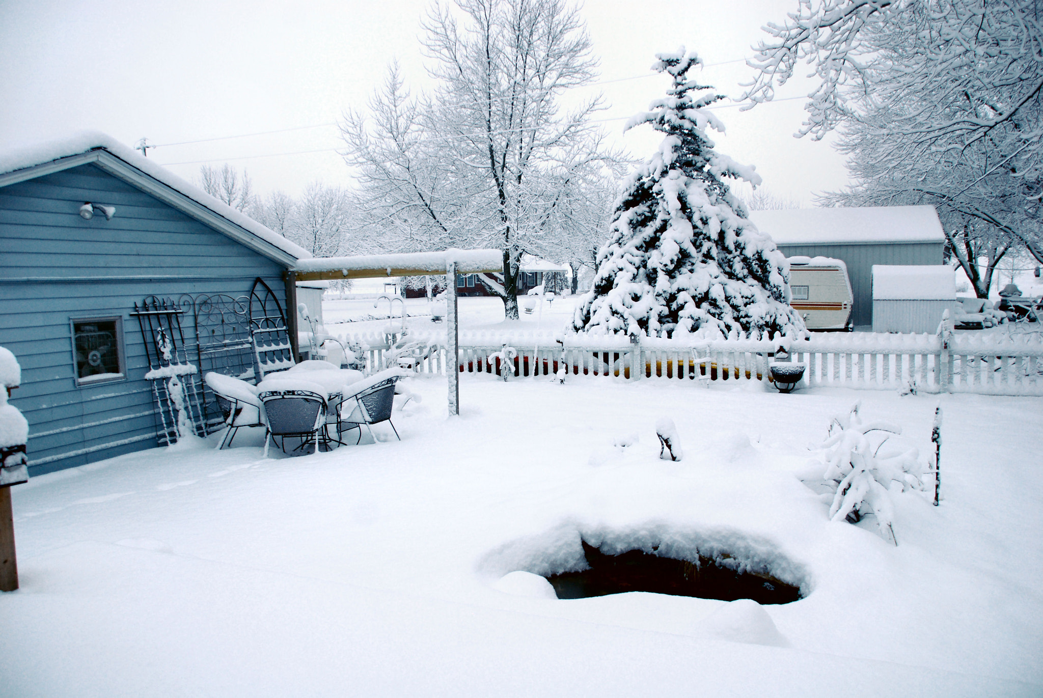 Nikon D80 sample photo. Backyard winter photography