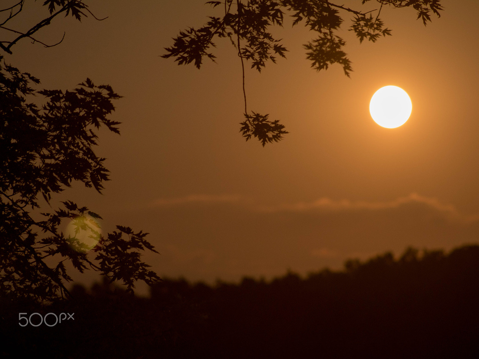 Canon EOS 80D + EF75-300mm f/4-5.6 sample photo. Misty moon photography