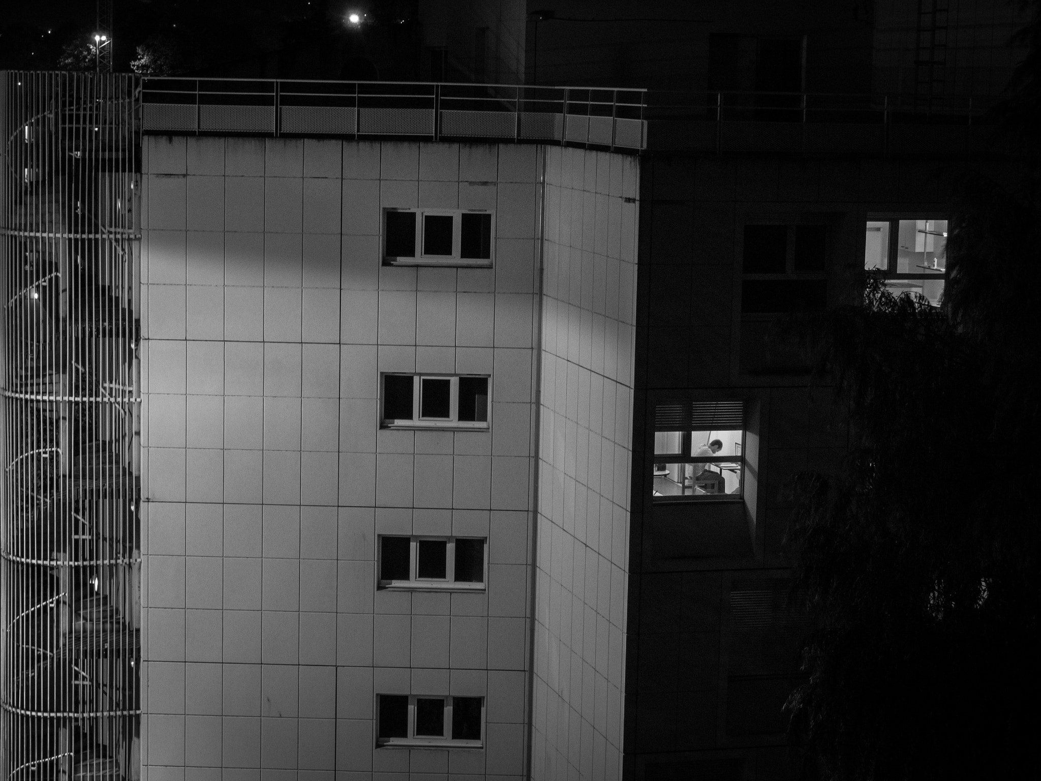 LUMIX G VARIO 12-60/F3.5-5.6 sample photo. P photography