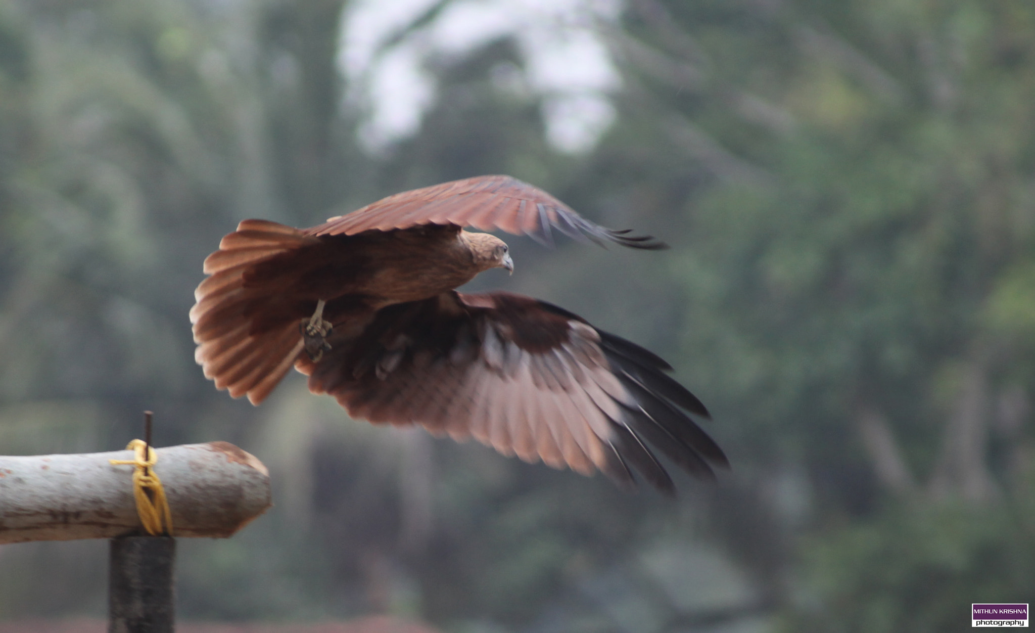 EF75-300mm f/4-5.6 sample photo