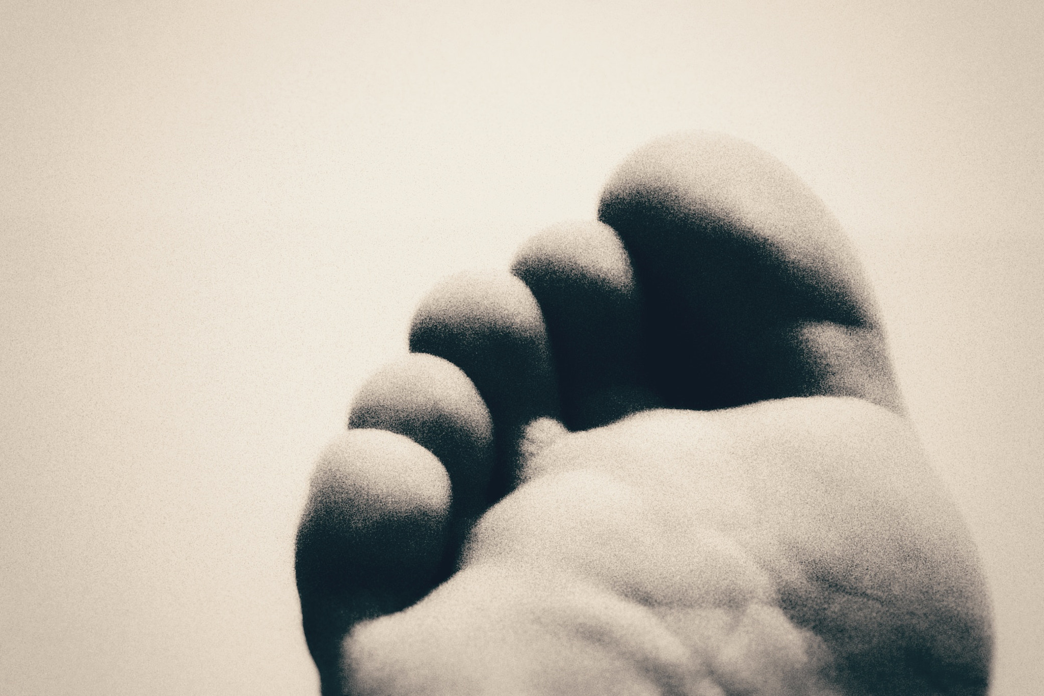 HUAWEI H60-L01 sample photo. Toe photography