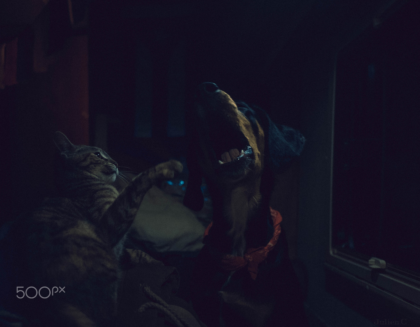 Fujifilm X-T1 + Fujifilm XF 18mm F2 R sample photo. No i'll eat you photography