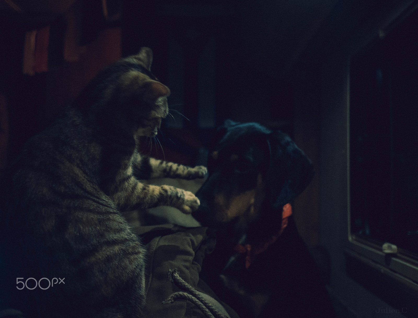 Fujifilm X-T1 + Fujifilm XF 18mm F2 R sample photo. Quiet quiet photography