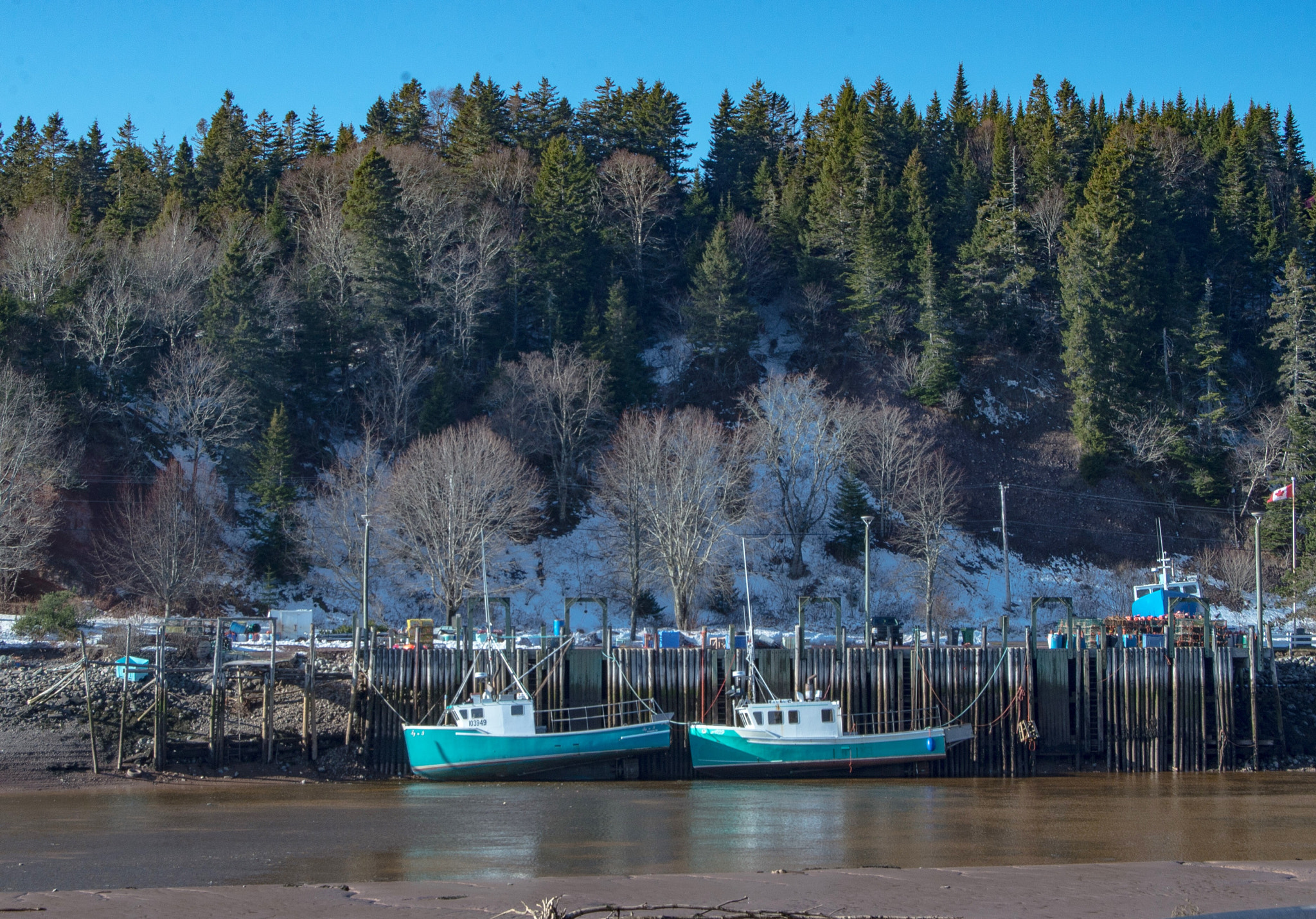 Nikon D600 sample photo. Low tide in the bay of fundy, nova scotia. lobster ... photography