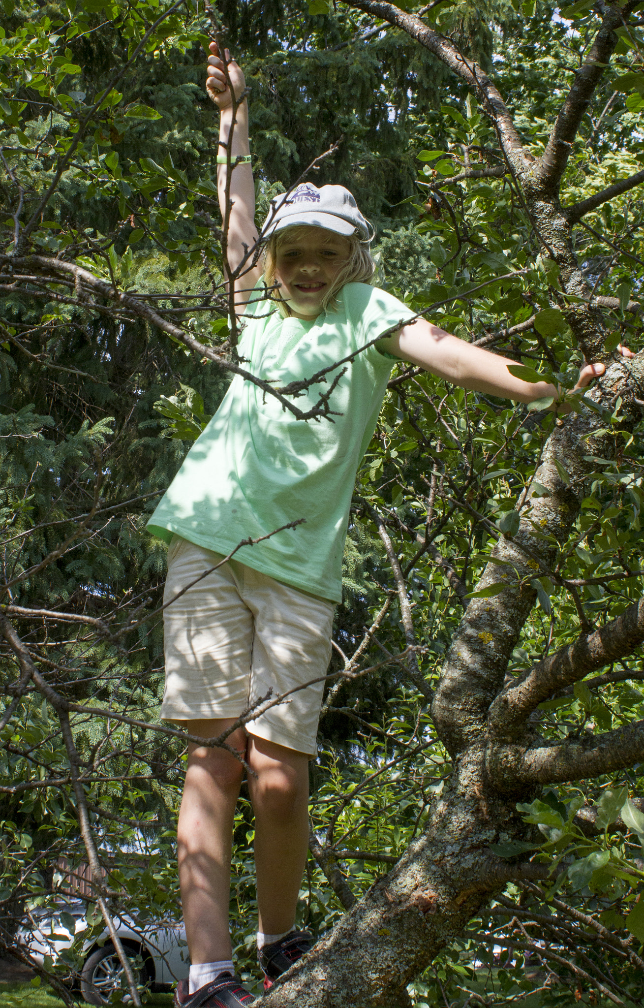 Canon EF 28-80mm f/3.5-5.6 sample photo. Tree climber photography