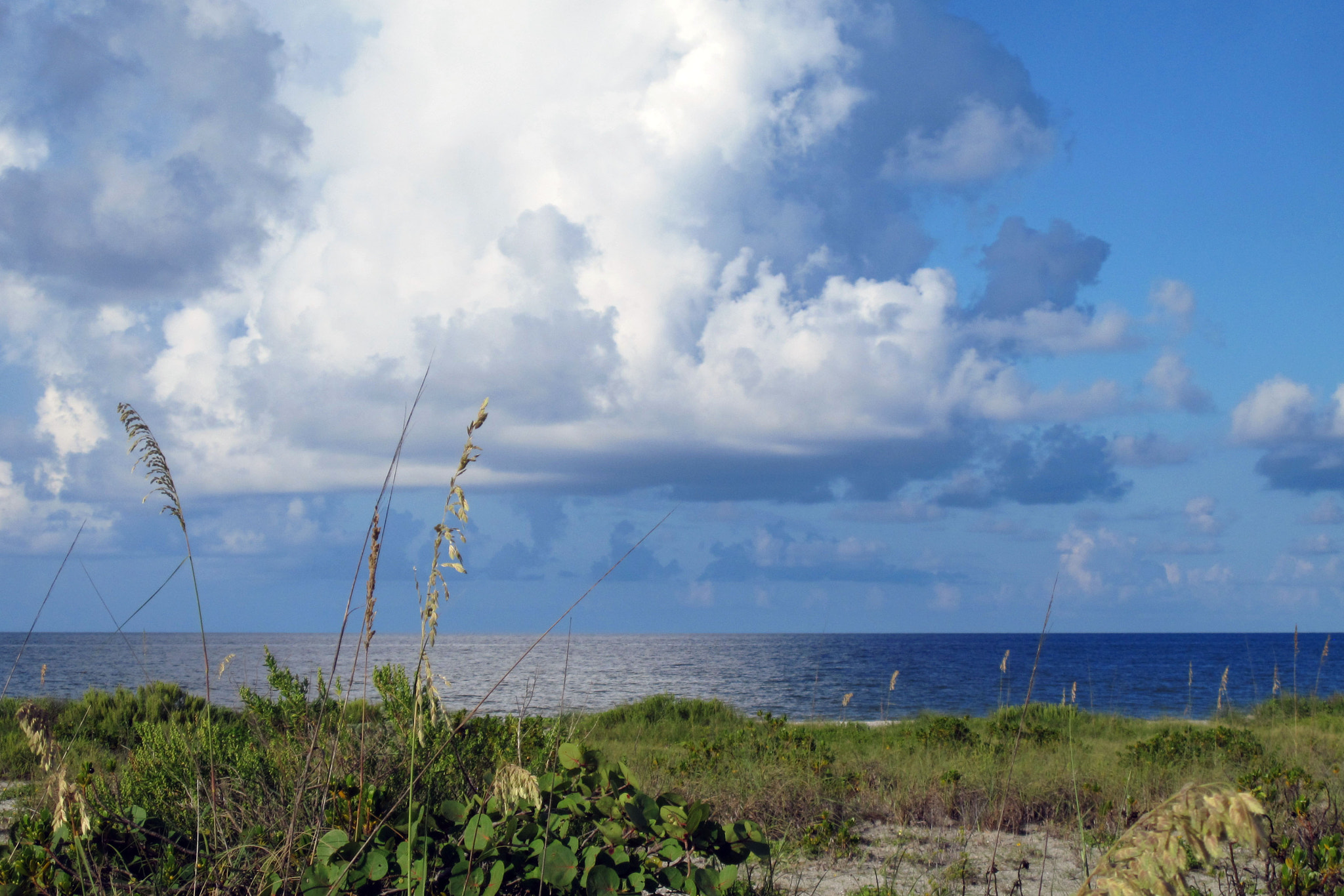 Canon PowerShot SD780 IS (Digital IXUS 100 IS / IXY Digital 210 IS) sample photo. Sanibel island beach photography