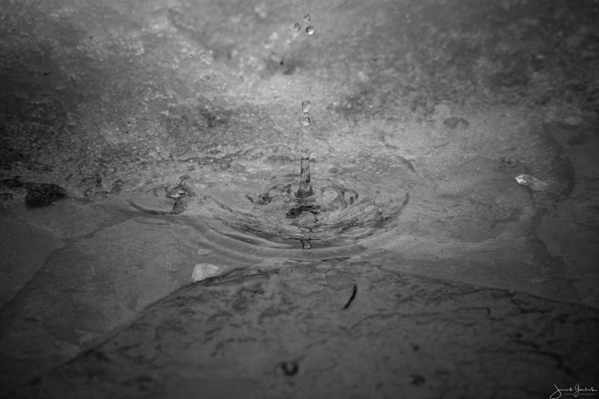 Sigma 70-300mm F4-5.6 APO DG Macro sample photo. Winter droplet photography