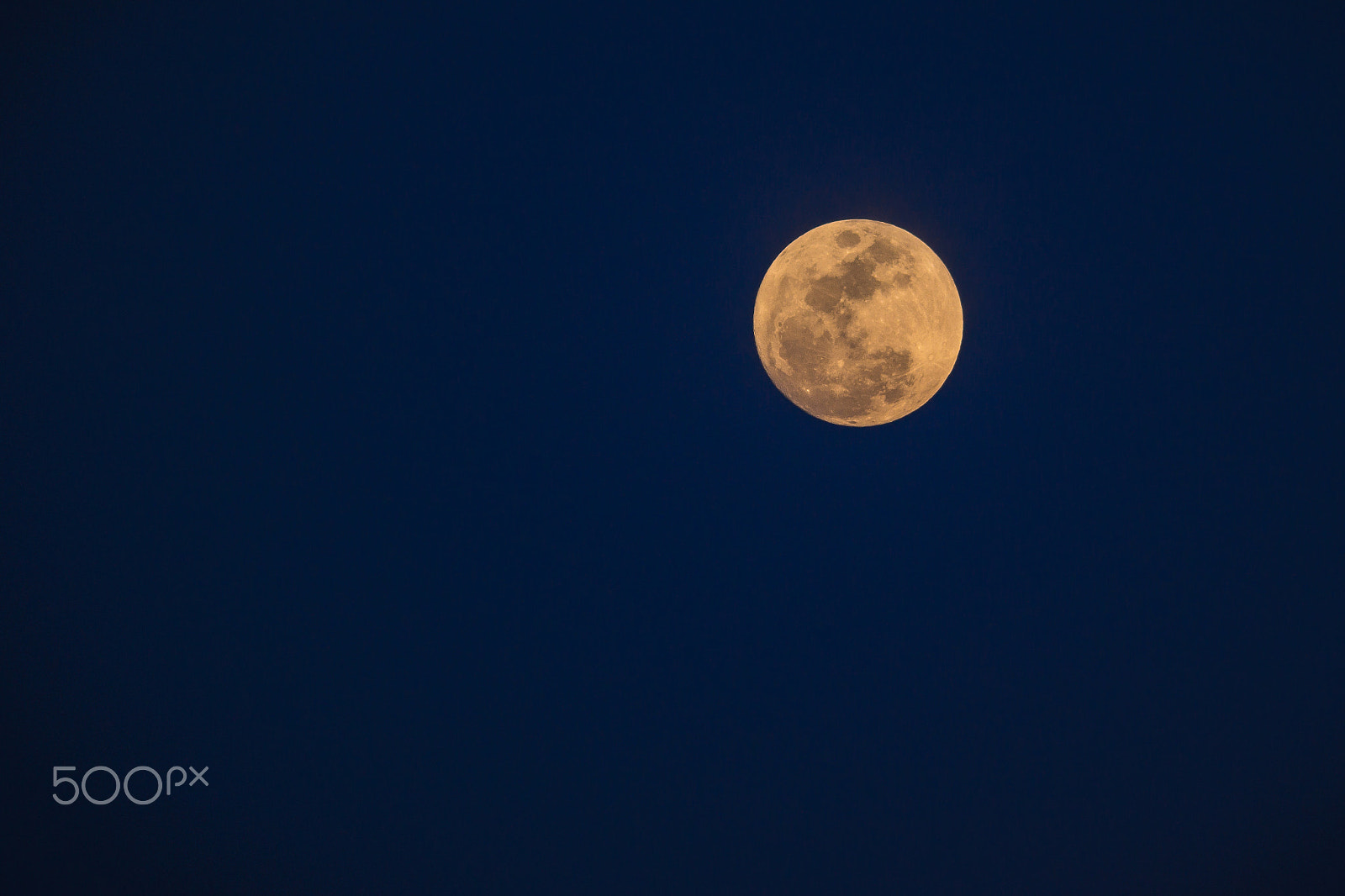 Sony 75-300mm F4.5-5.6 sample photo. Luna solitaria photography