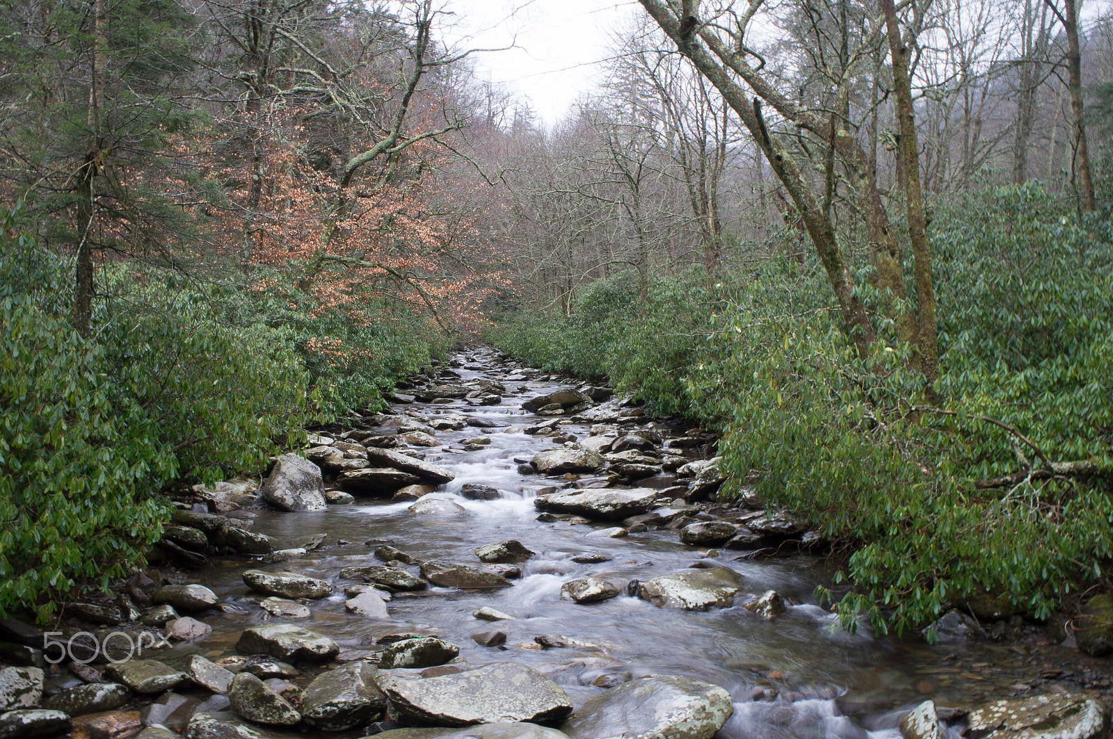 Sony Alpha NEX-C3 sample photo. Smoky mountain national park photography