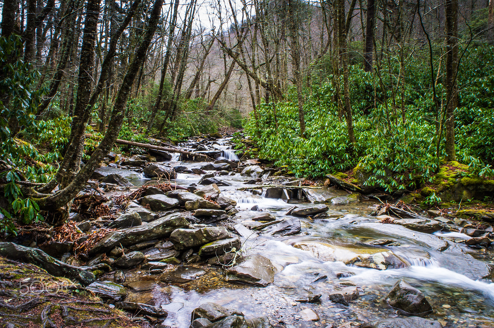 Sony Alpha NEX-C3 + Sony E 18-55mm F3.5-5.6 OSS sample photo. Smoky mountain national park photography