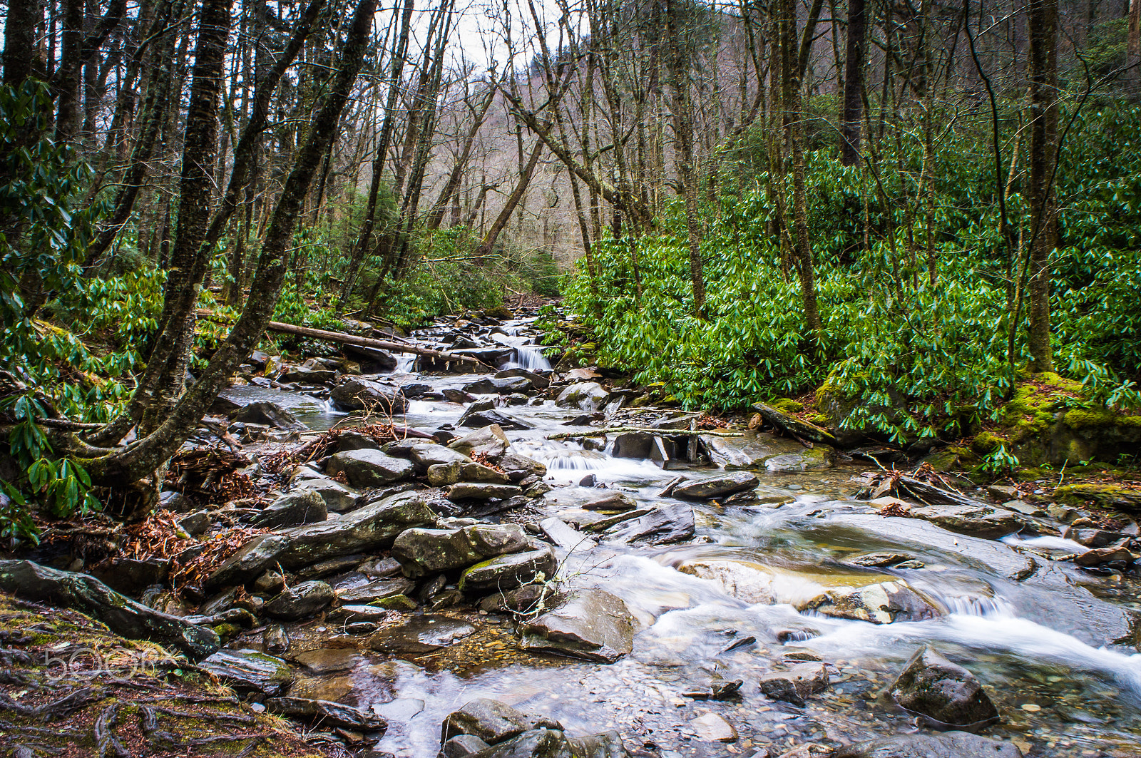 Sony Alpha NEX-C3 sample photo. Smoky mountain national park photography