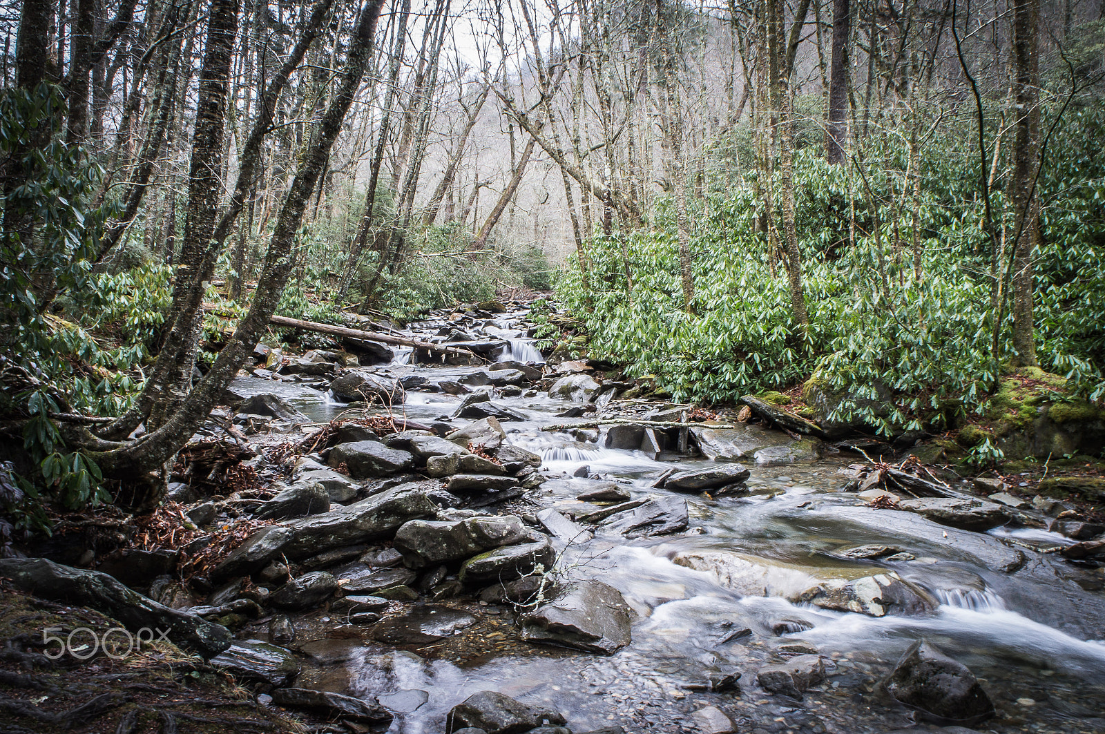 Sony Alpha NEX-C3 + Sony E 18-55mm F3.5-5.6 OSS sample photo. Smoky mountain national park photography
