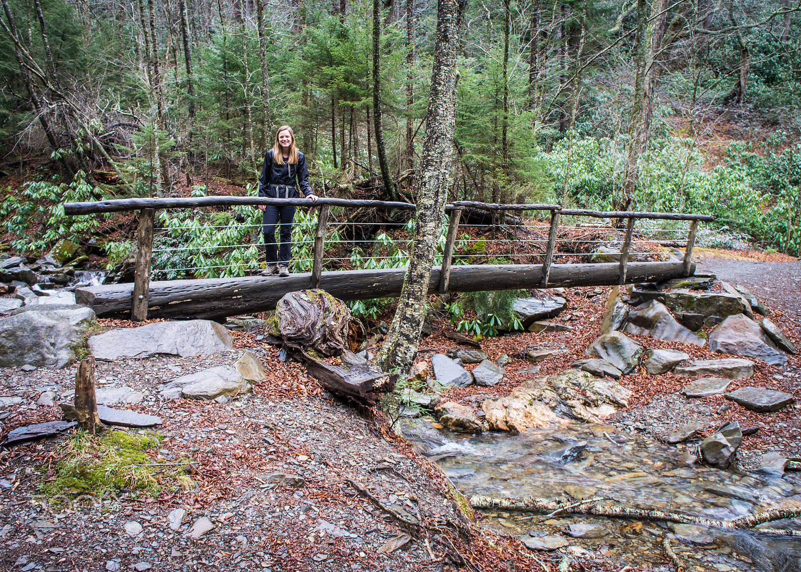 Sony Alpha NEX-C3 sample photo. Smoky mountain national park photography