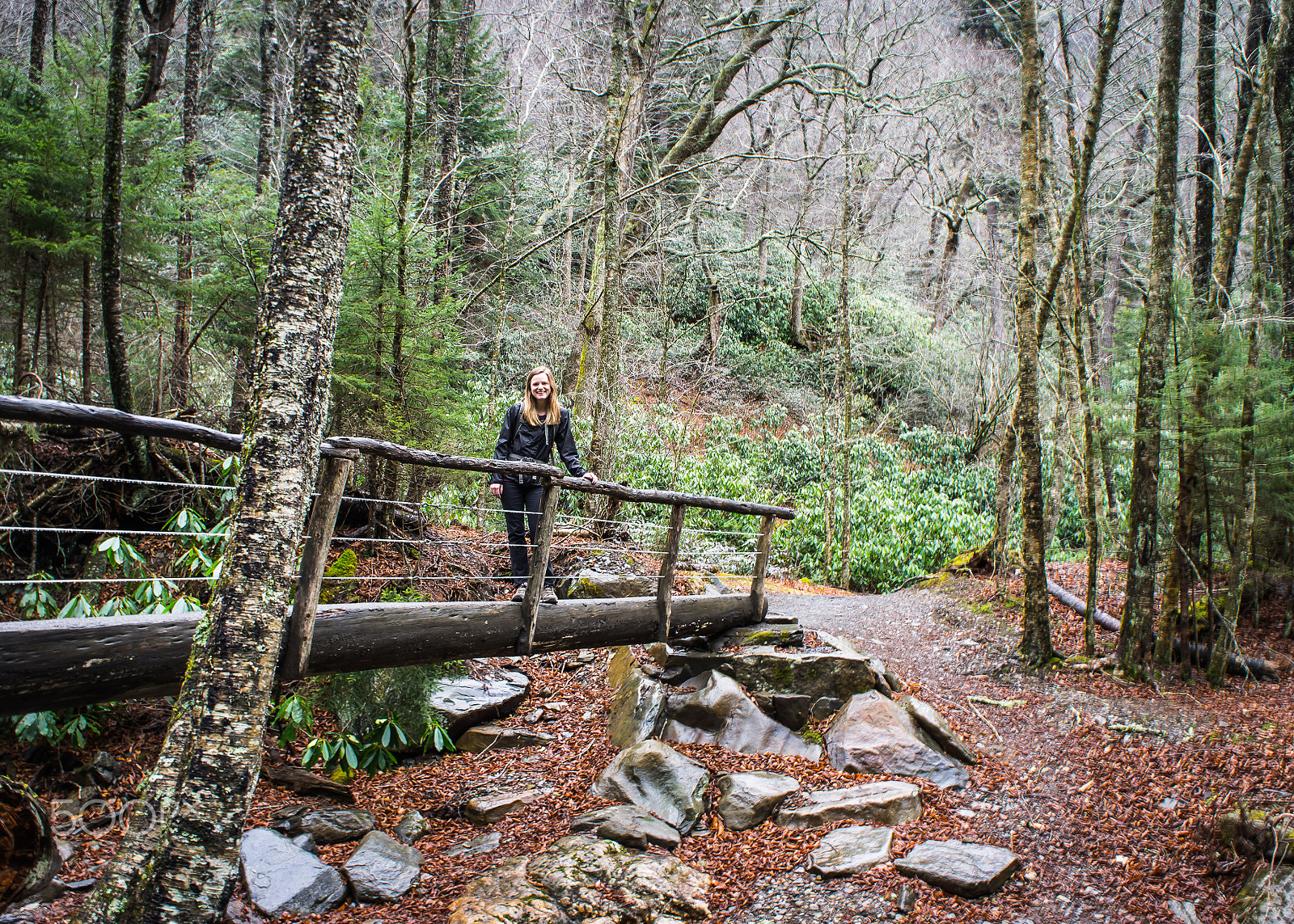 Sony Alpha NEX-C3 + Sony E 18-55mm F3.5-5.6 OSS sample photo. Smoky mountain national park photography