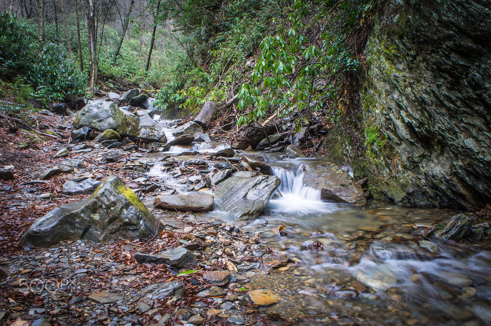 Sony Alpha NEX-C3 + Sony E 18-55mm F3.5-5.6 OSS sample photo. Smoky mountain national park photography