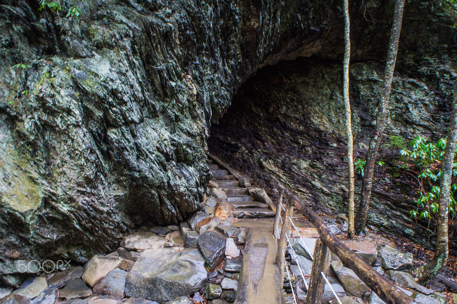 Sony Alpha NEX-C3 sample photo. Smoky mountain national park photography