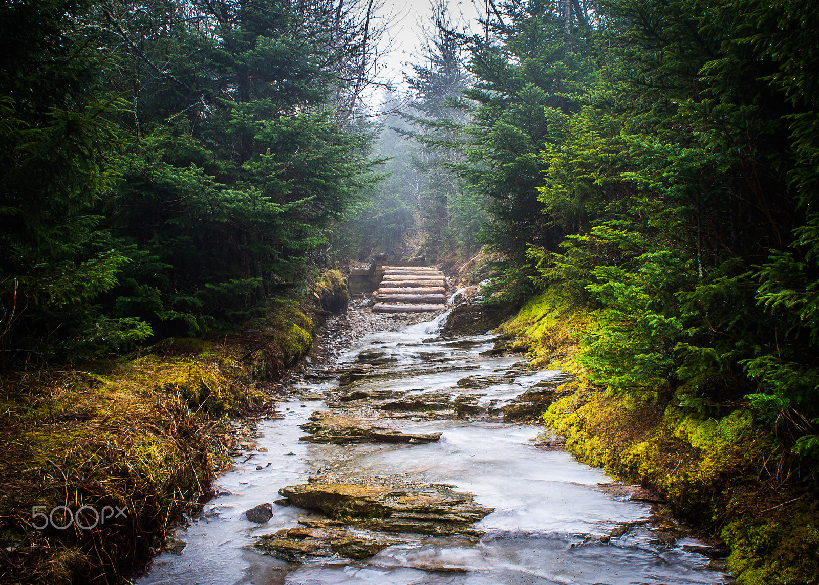 Sony Alpha NEX-C3 + Sony E 18-55mm F3.5-5.6 OSS sample photo. Smoky mountain national park photography