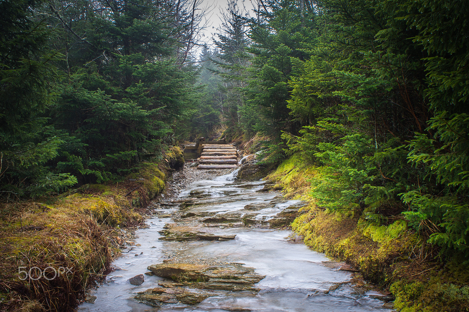 Sony Alpha NEX-C3 + Sony E 18-55mm F3.5-5.6 OSS sample photo. Smoky mountain national park photography