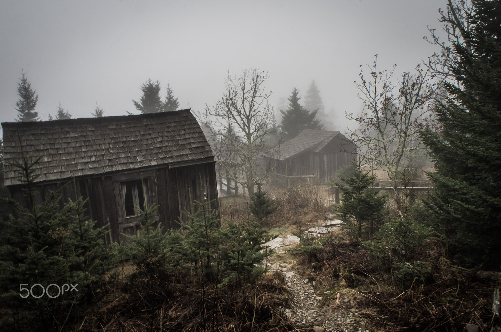 Sony Alpha NEX-C3 + Sony E 18-55mm F3.5-5.6 OSS sample photo. Smoky mountain national park photography