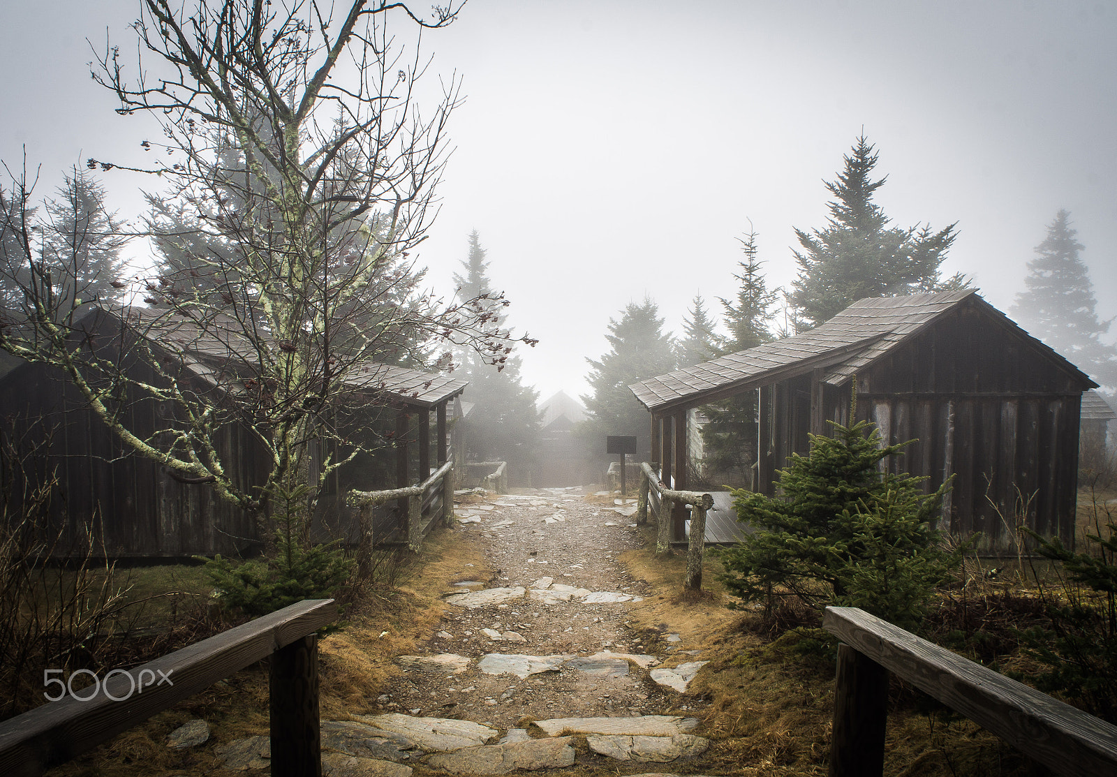 Sony Alpha NEX-C3 + Sony E 18-55mm F3.5-5.6 OSS sample photo. Smoky mountain national park photography