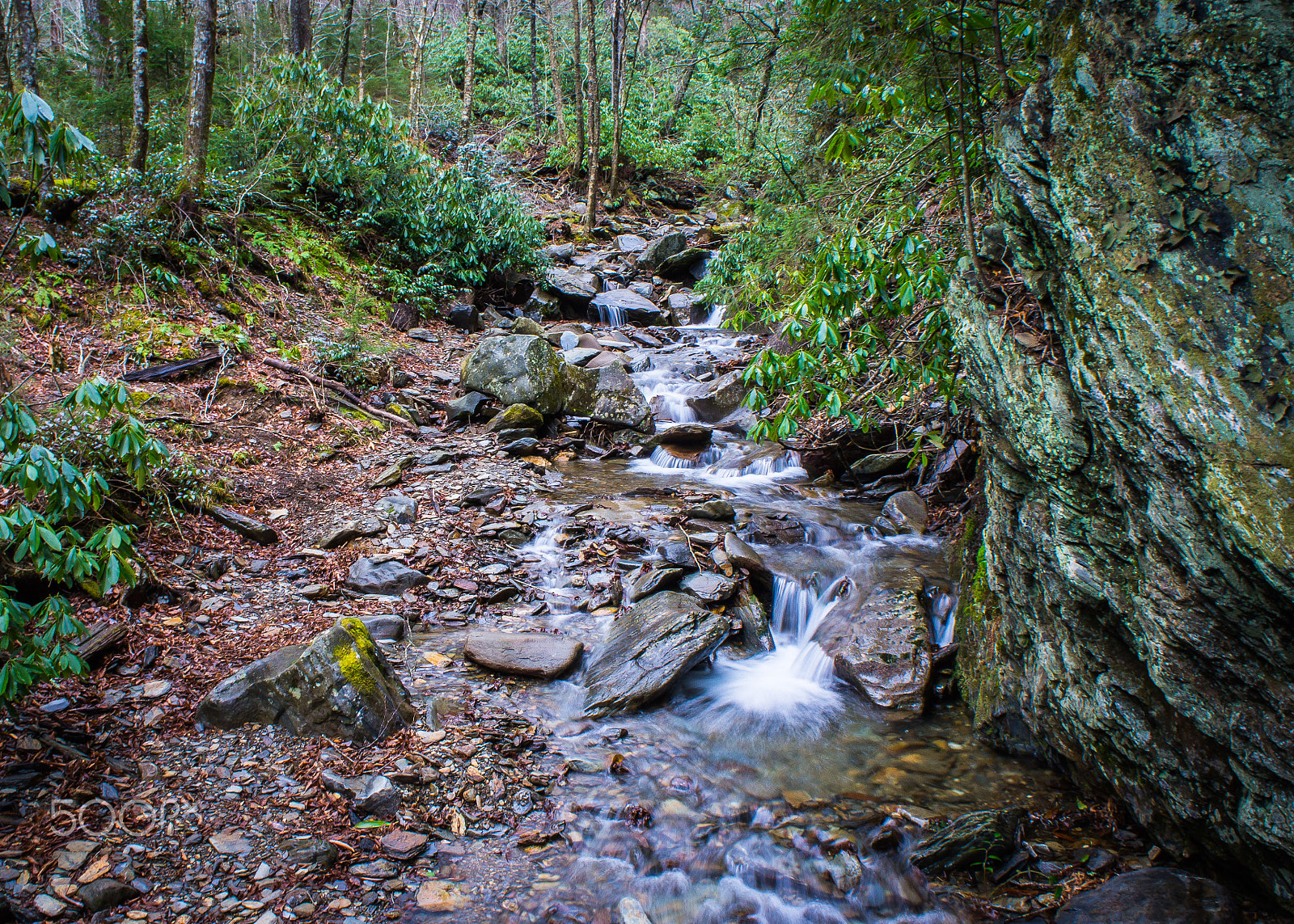 Sony Alpha NEX-C3 + Sony E 18-55mm F3.5-5.6 OSS sample photo. Smoky mountain national park photography