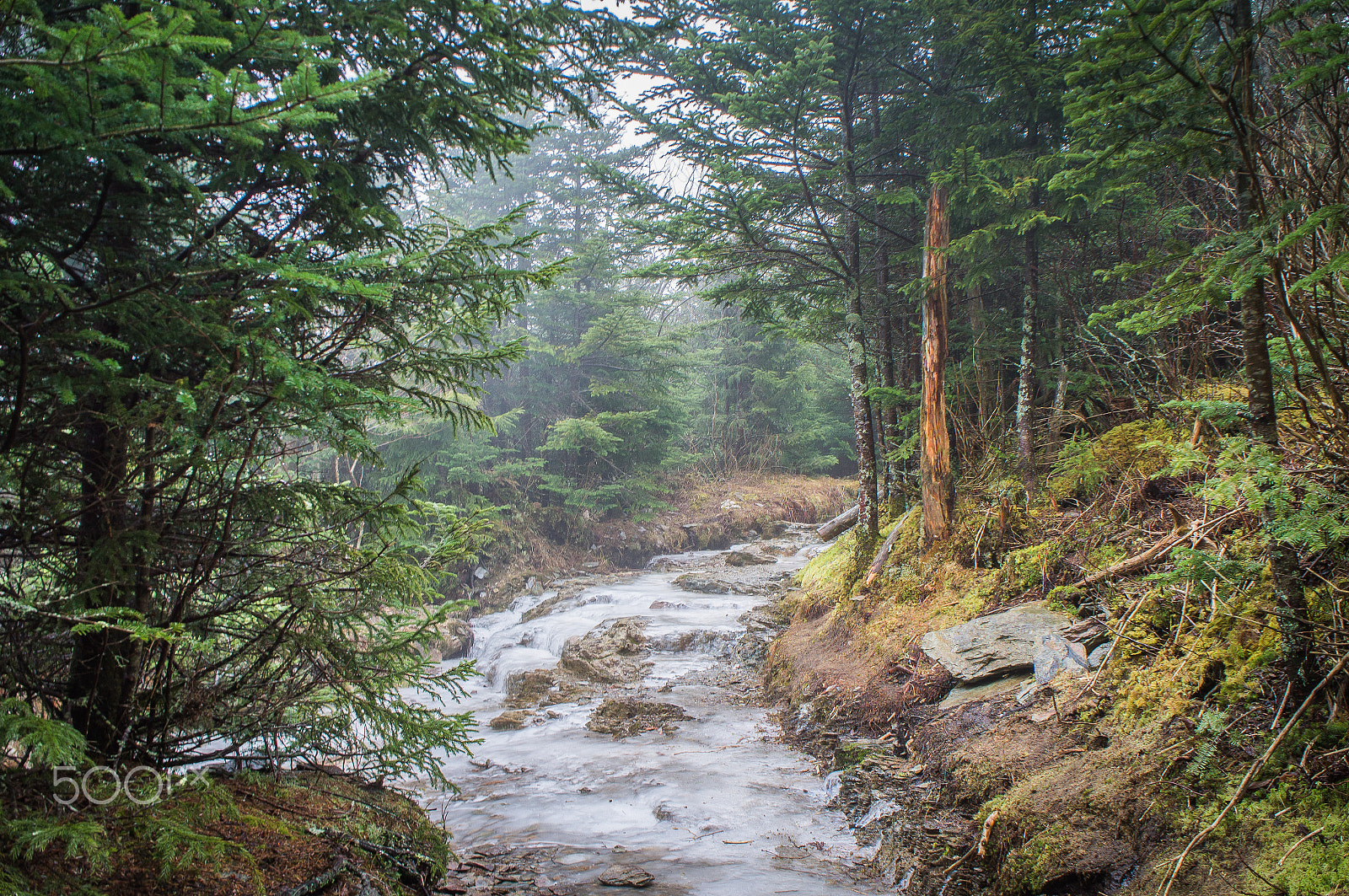 Sony Alpha NEX-C3 + Sony E 18-55mm F3.5-5.6 OSS sample photo. Smoky mountain national park photography