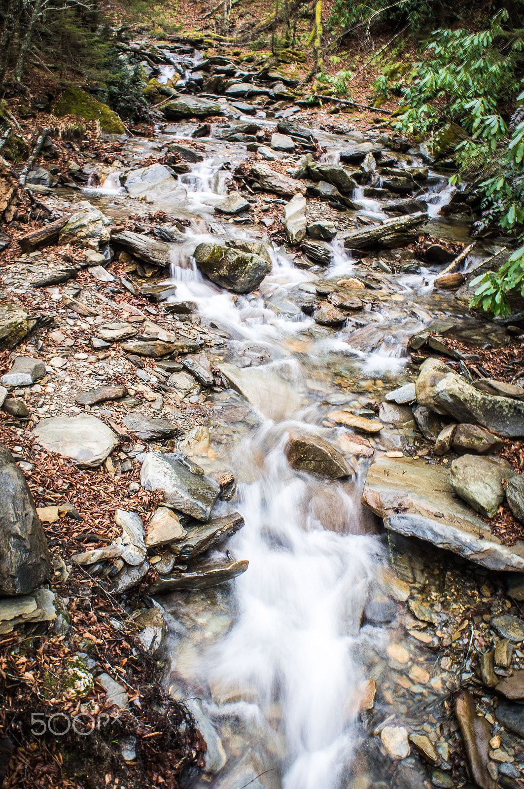 Sony Alpha NEX-C3 + Sony E 18-55mm F3.5-5.6 OSS sample photo. Smoky mountain national park photography