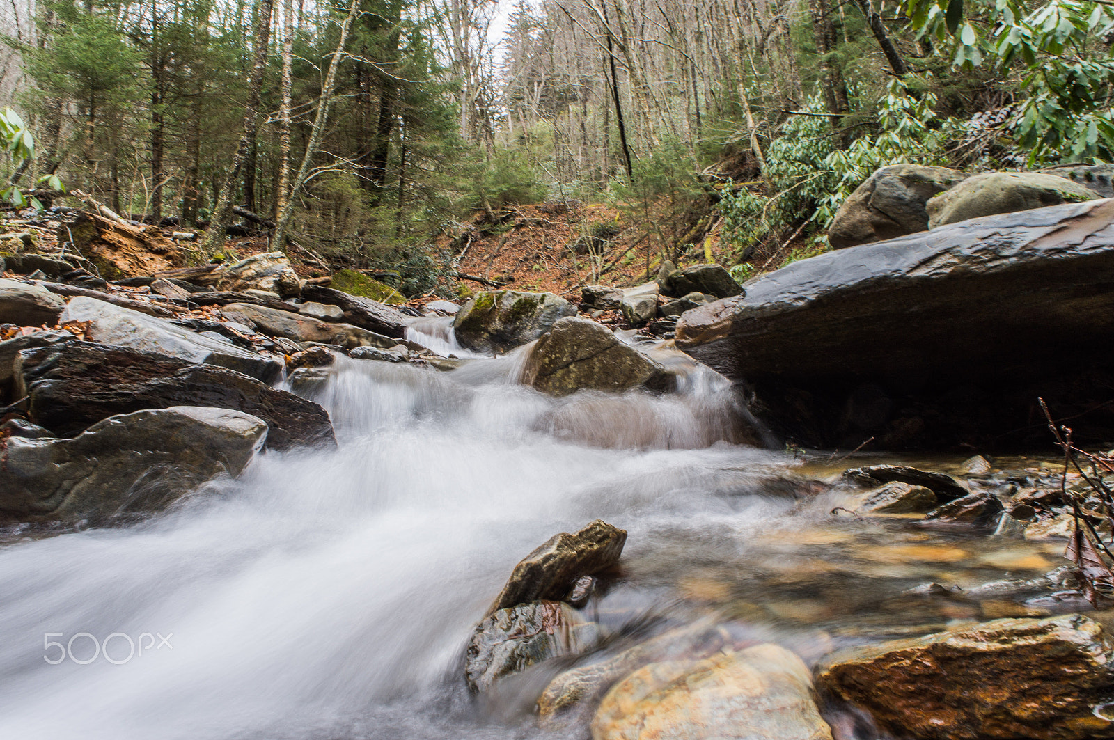 Sony Alpha NEX-C3 + Sony E 18-55mm F3.5-5.6 OSS sample photo. Smoky mountain national park photography