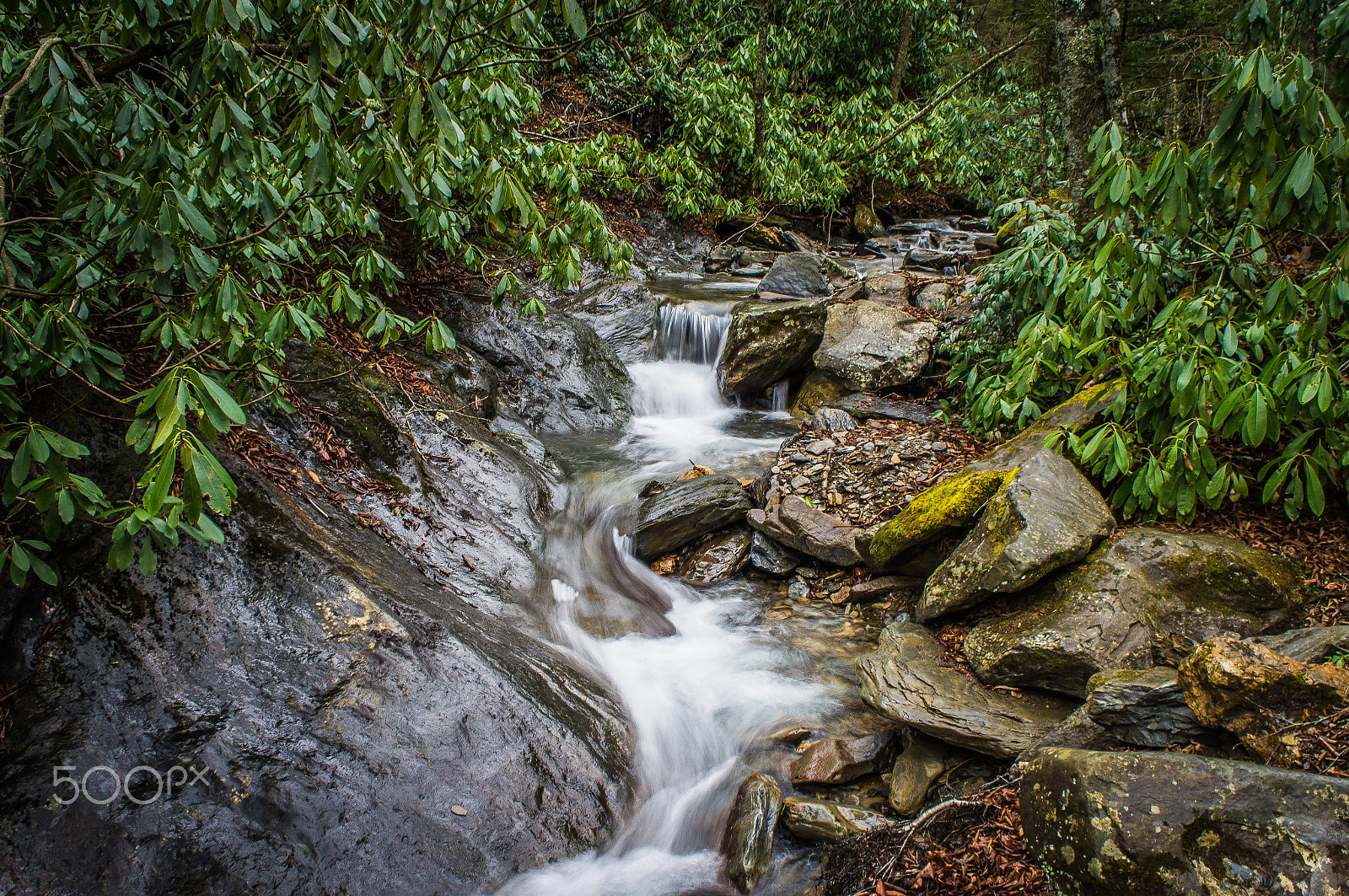Sony Alpha NEX-C3 + Sony E 18-55mm F3.5-5.6 OSS sample photo. Smoky mountain national park photography